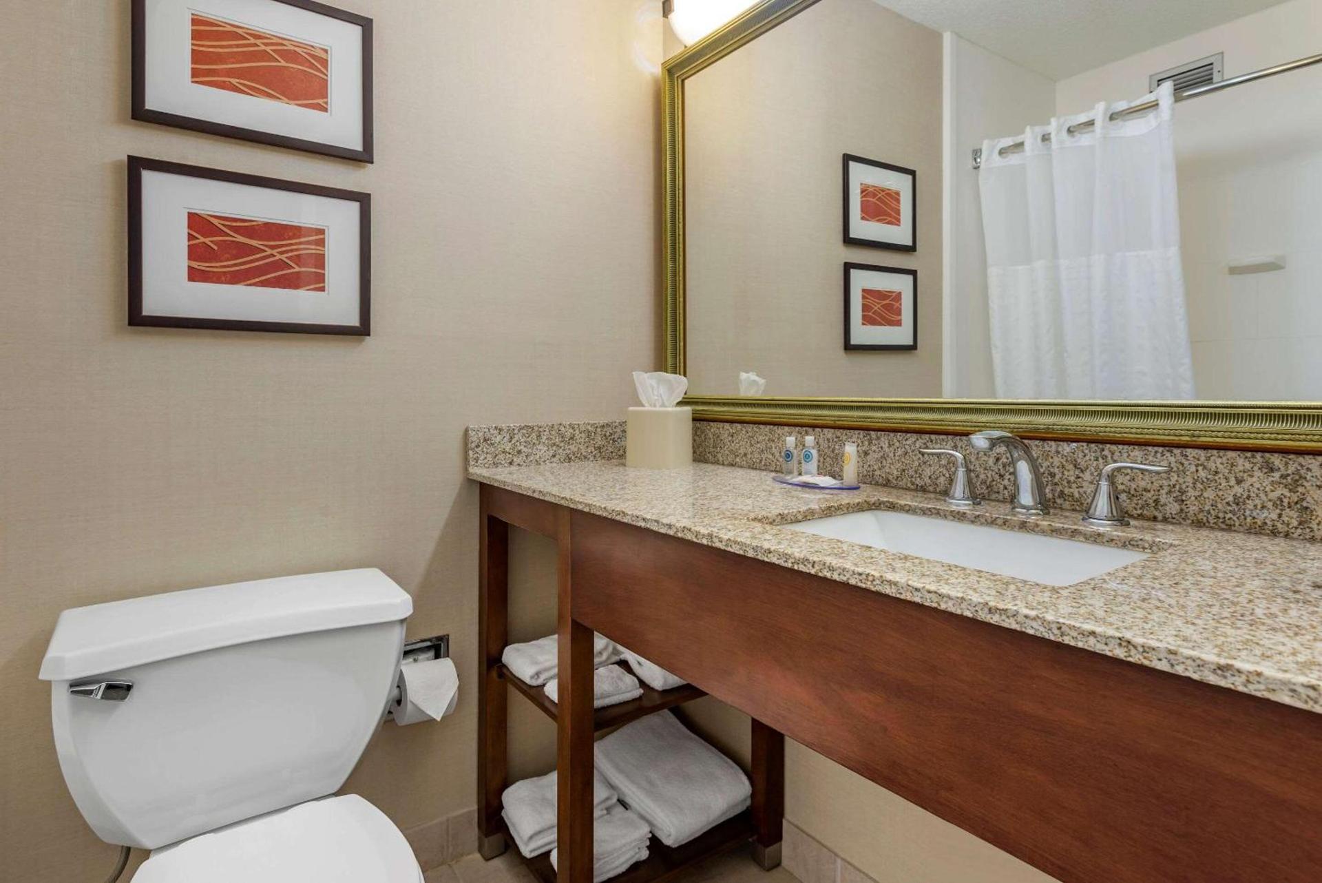 Comfort Inn Lancaster County North photo 10