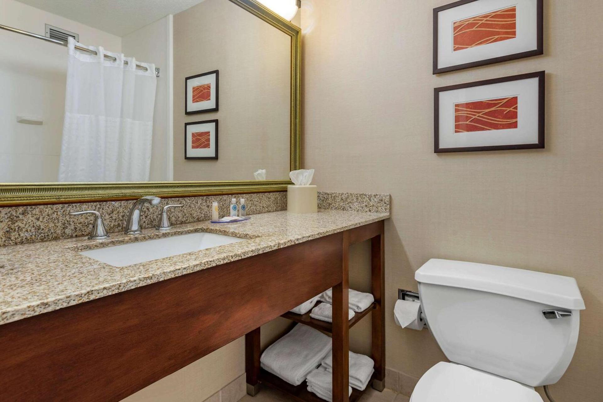 Comfort Inn Lancaster County North photo 14