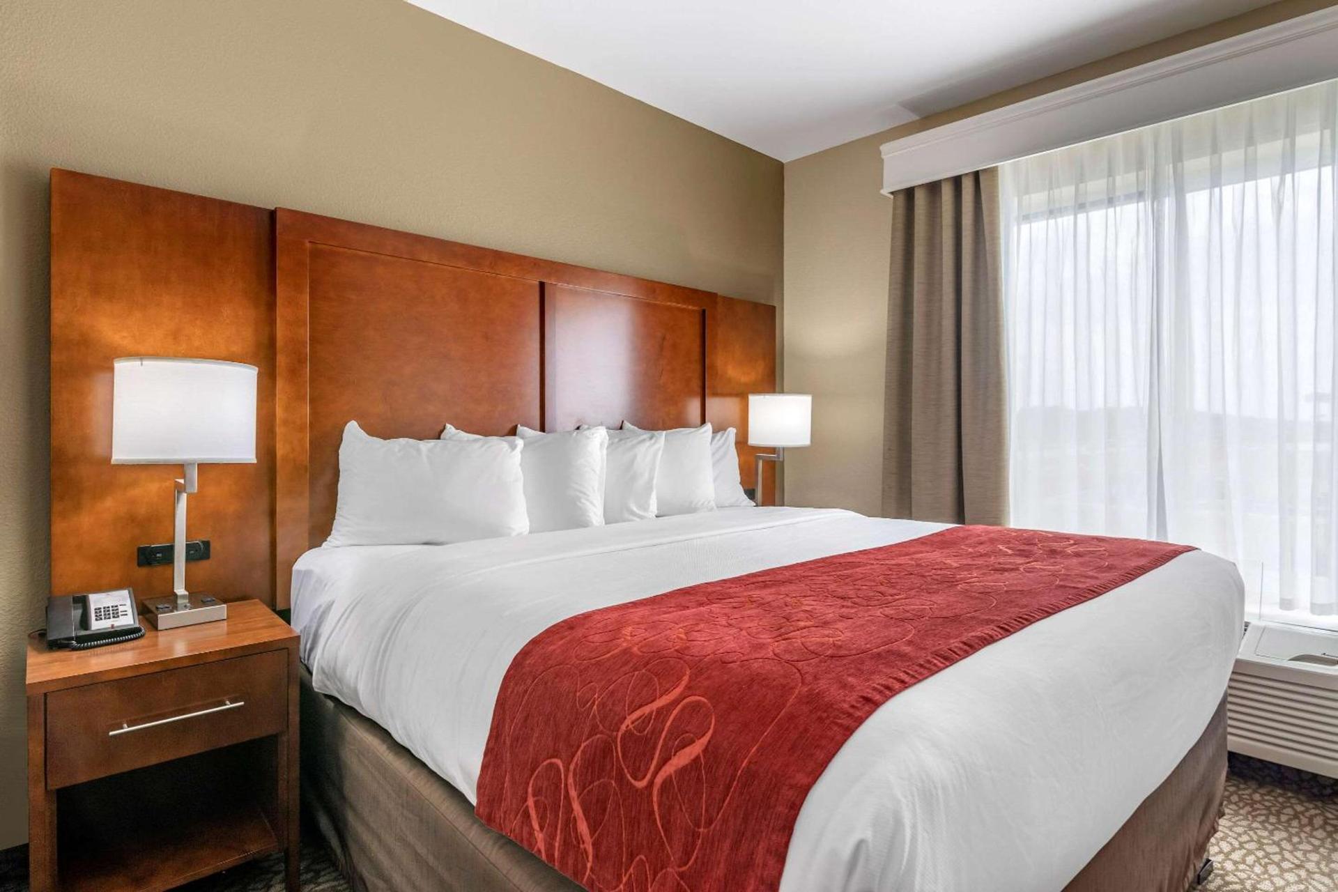 Comfort Suites Florence I-95 photo 13