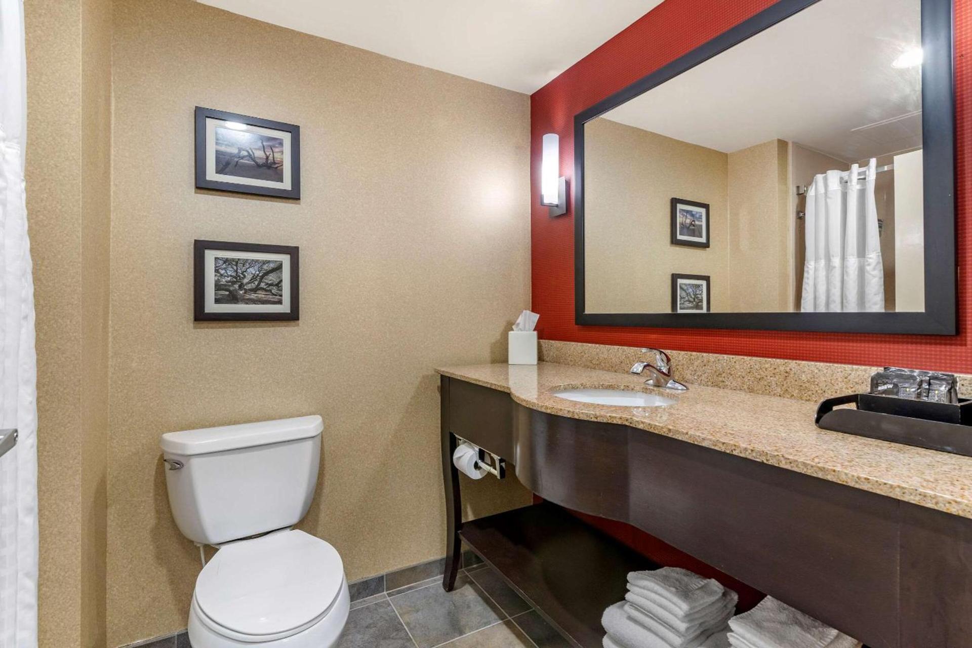 Comfort Suites Florence I-95 photo 16