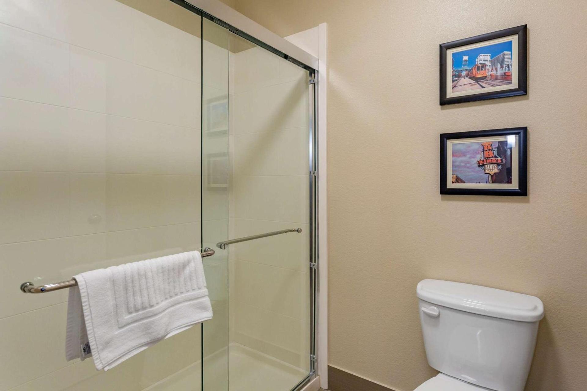 Comfort Suites Cordova photo 25