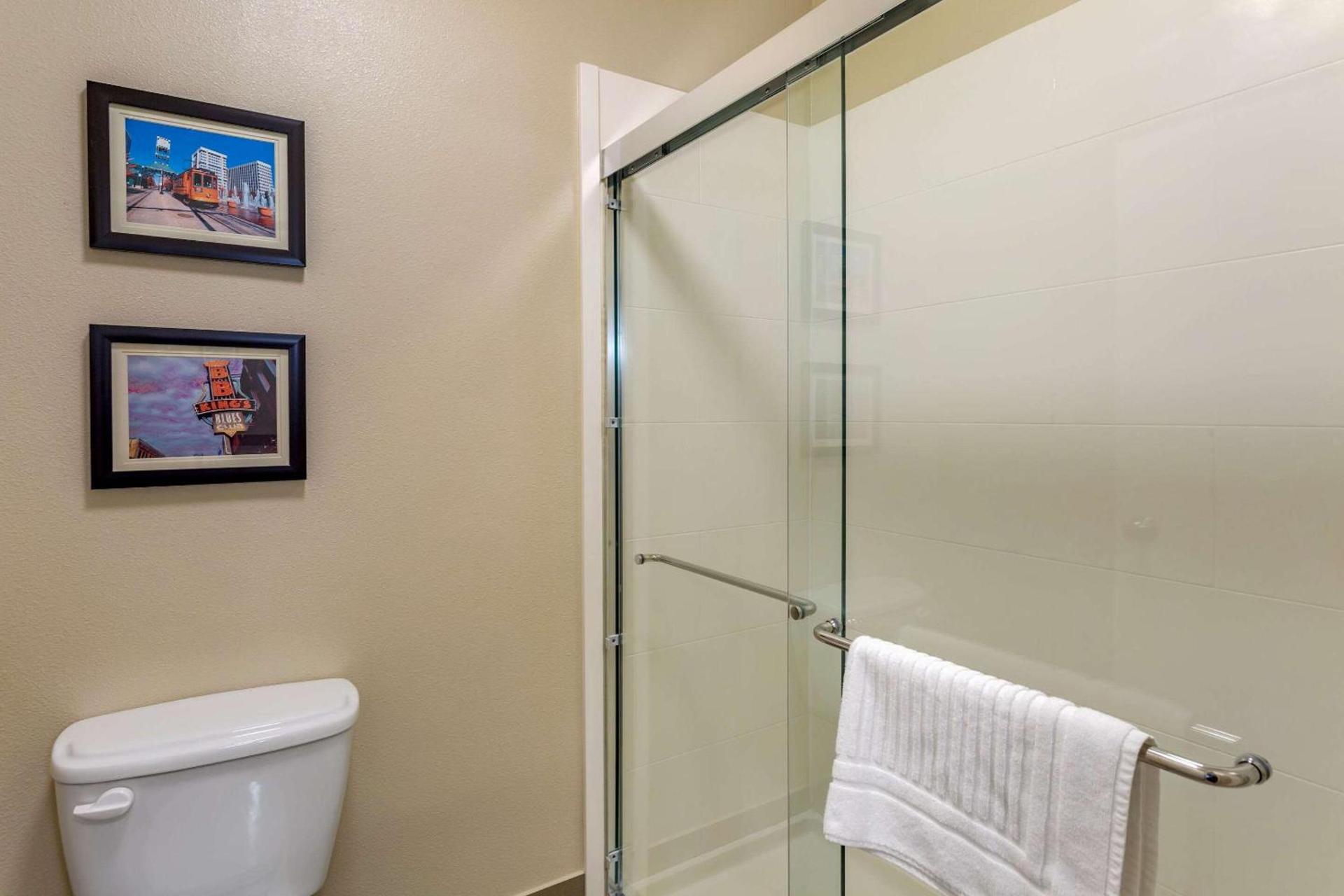 Comfort Suites Cordova photo 13