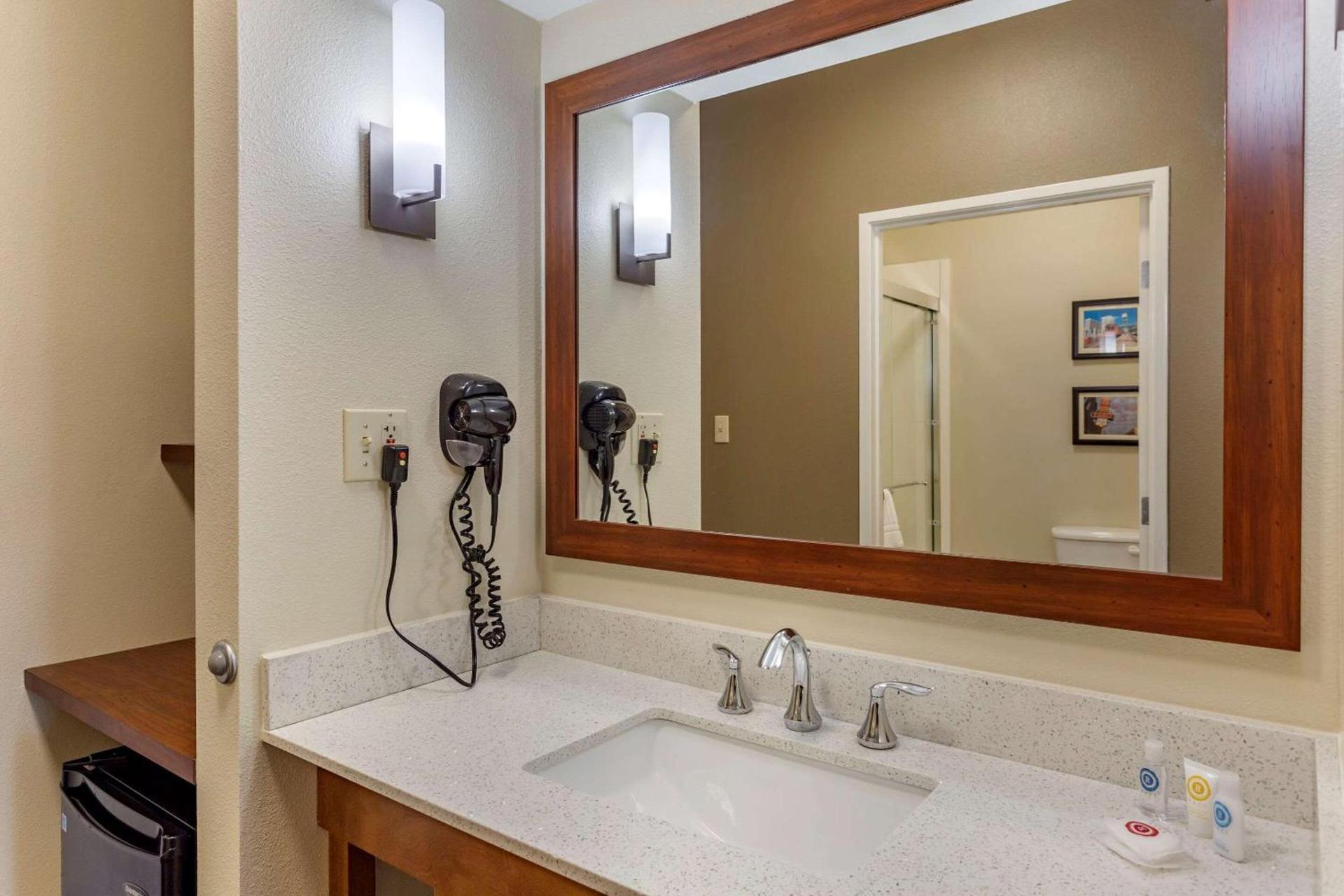 Comfort Suites Cordova photo 16