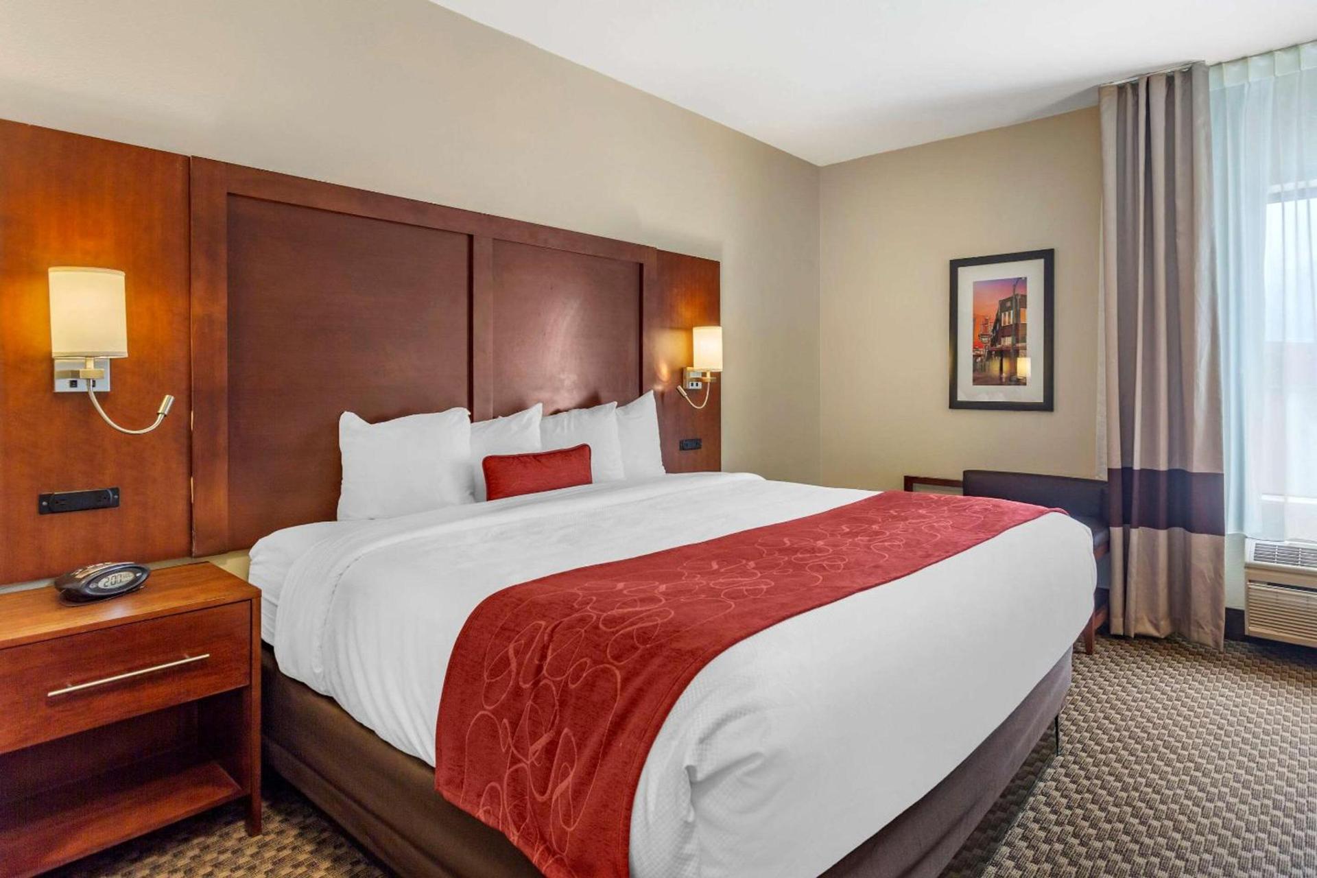 Comfort Suites Cordova photo 8