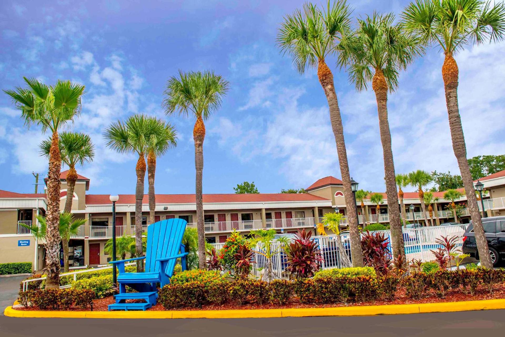 Hotel South Tampa & Suites photo 8
