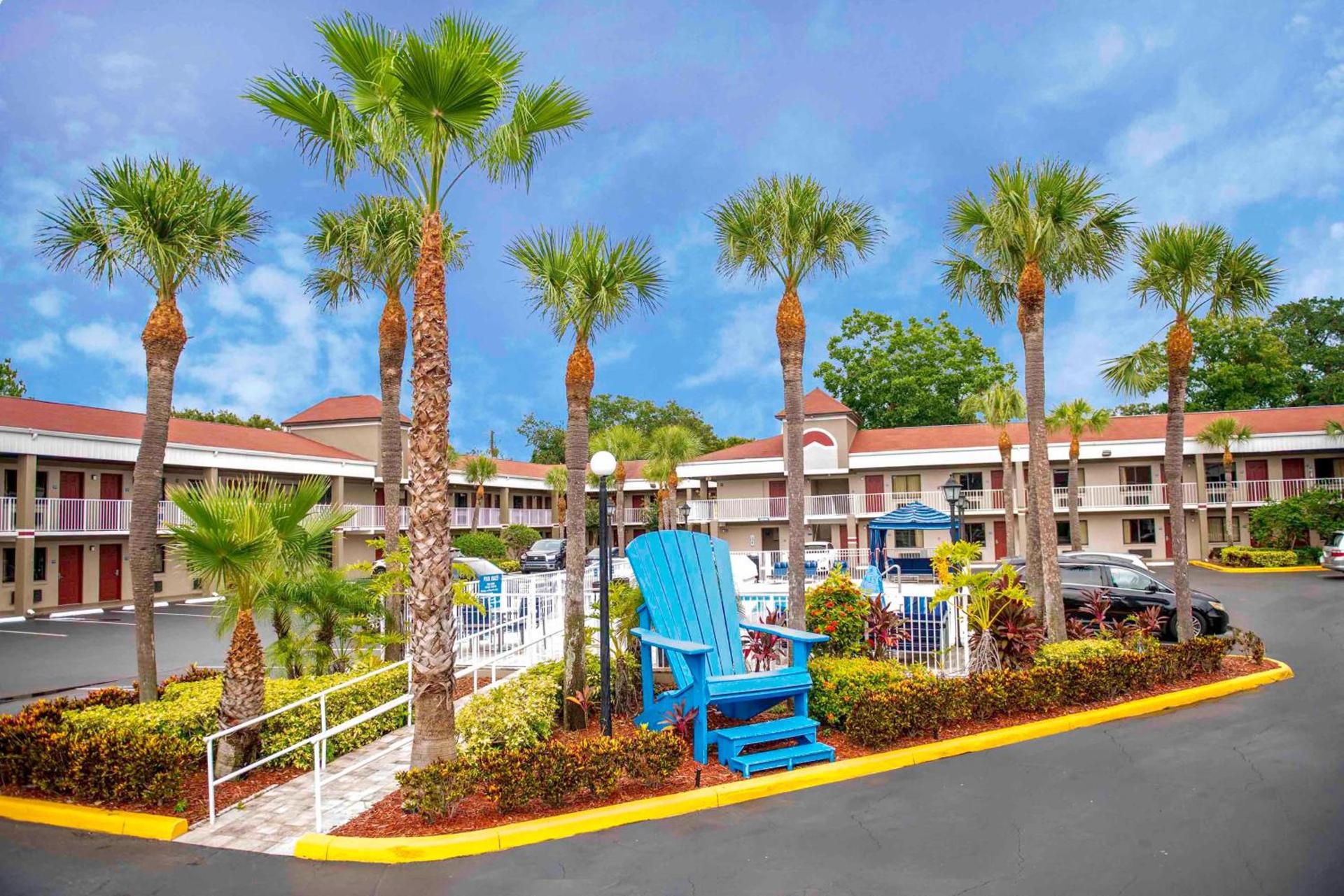 Hotel South Tampa & Suites photo 10