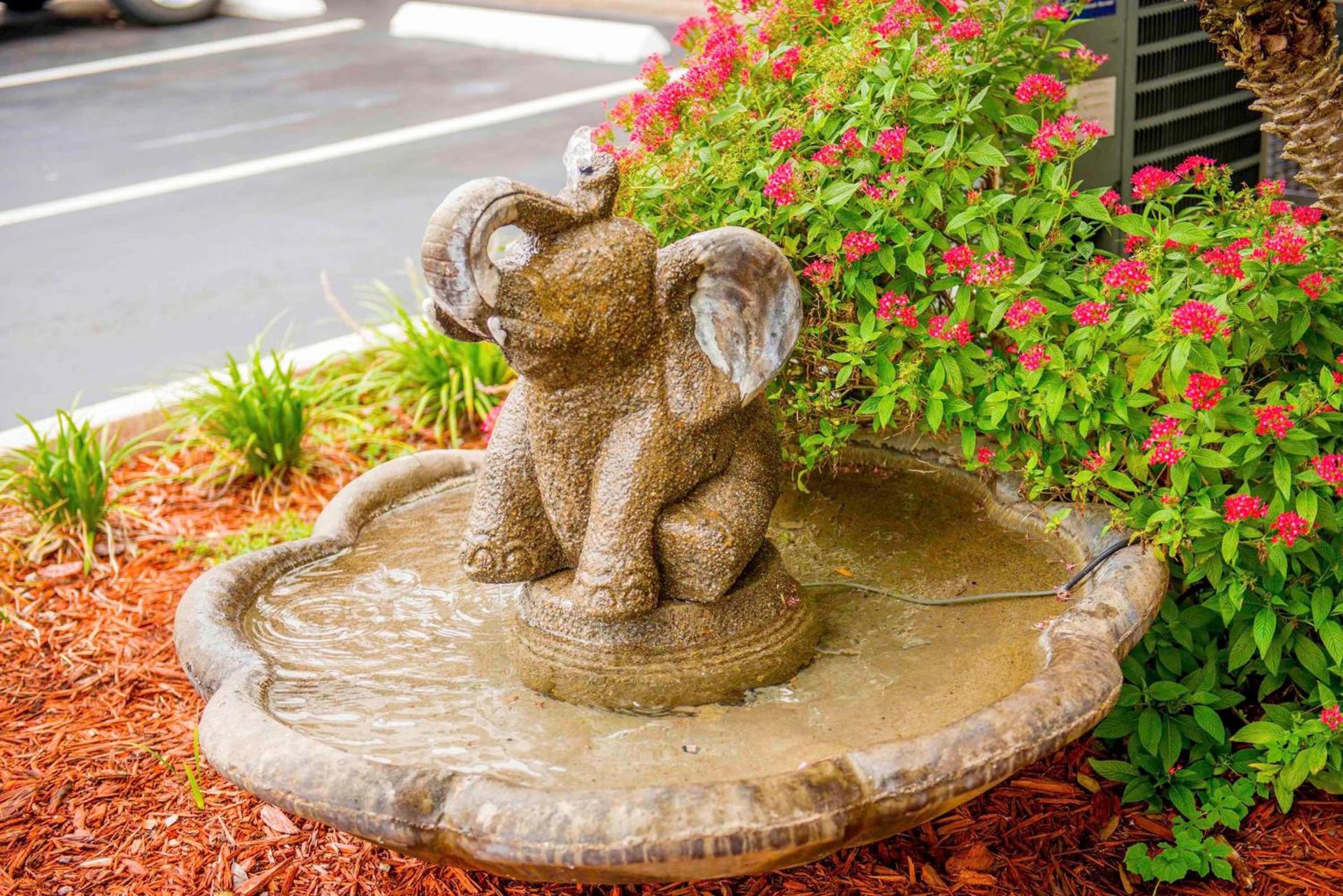 Hotel South Tampa & Suites photo 16