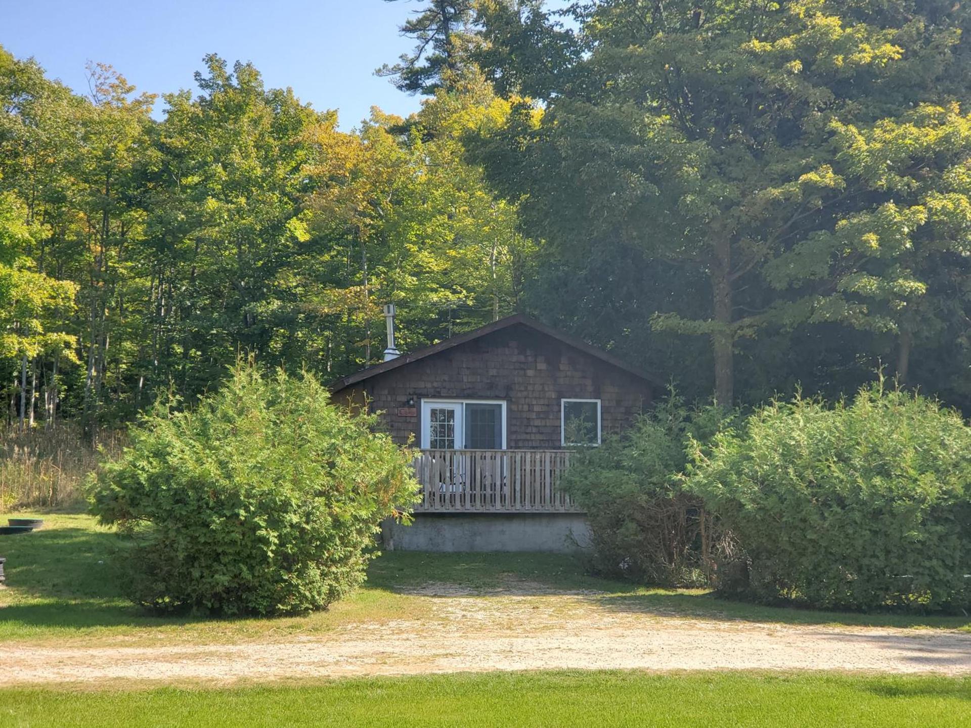 Steffen's Cedar Lodge photo 1