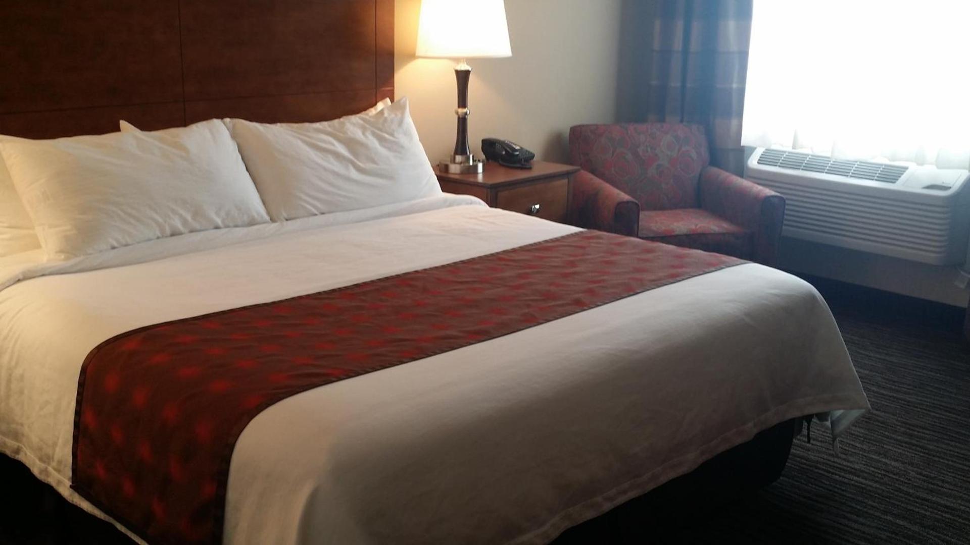 American Inn & Suites photo 5