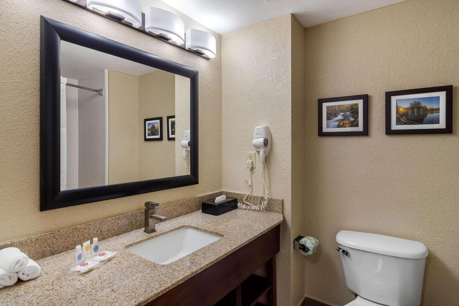 Comfort Suites Woodstock - Atlanta North photo 18