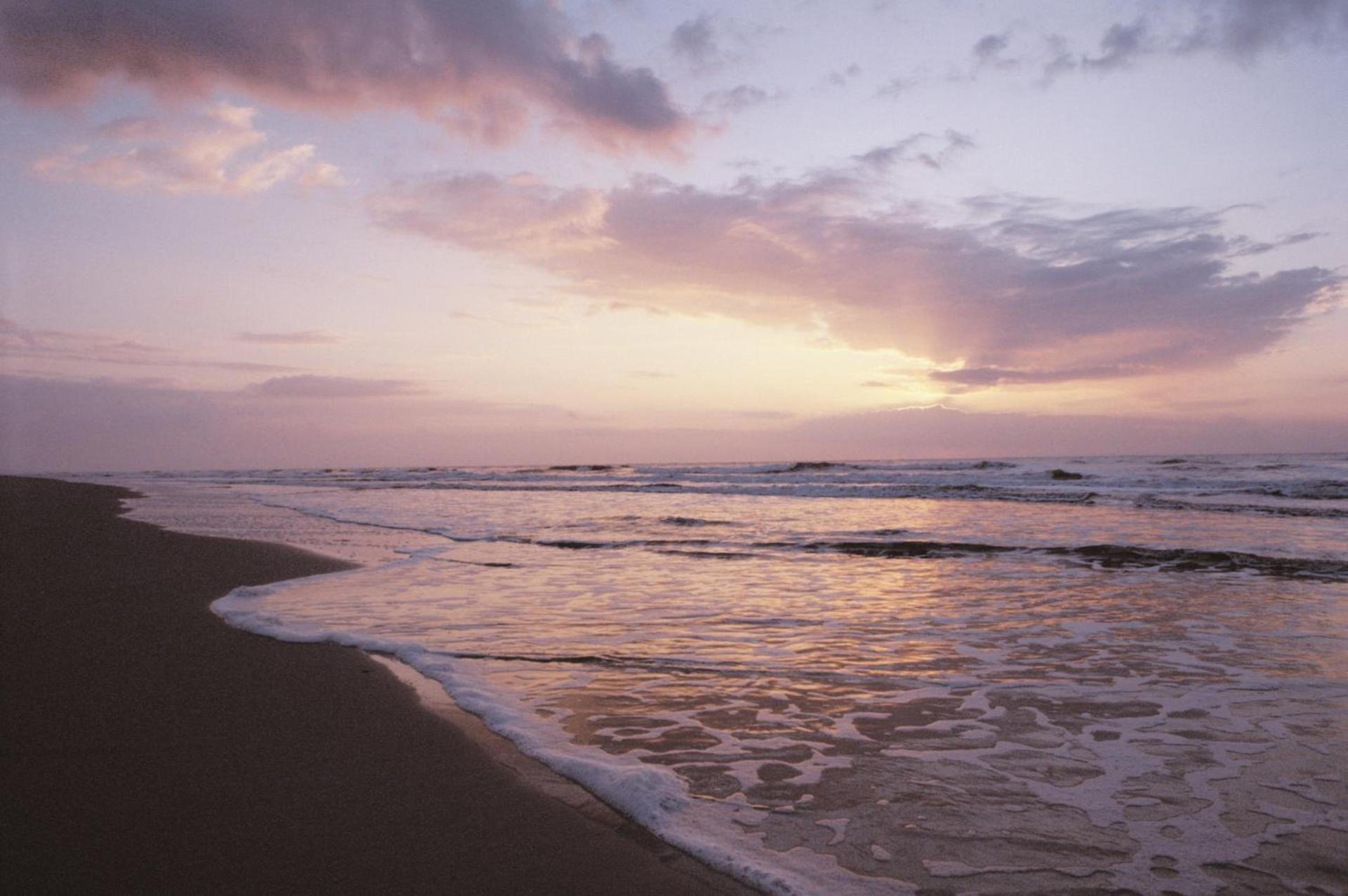 Holiday Inn Express Hilton Head Island by IHG photo 14