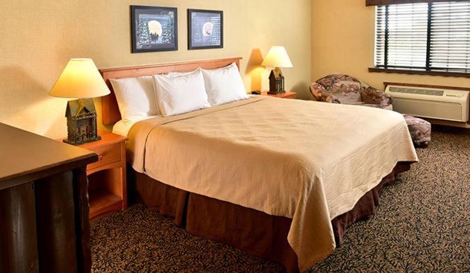 Boarders Inn & Suites by Cobblestone Hotels in Waukon photo 10