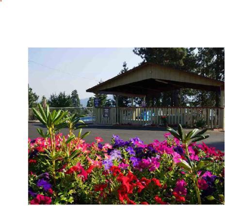 Swiss Holiday Lodge photo 14