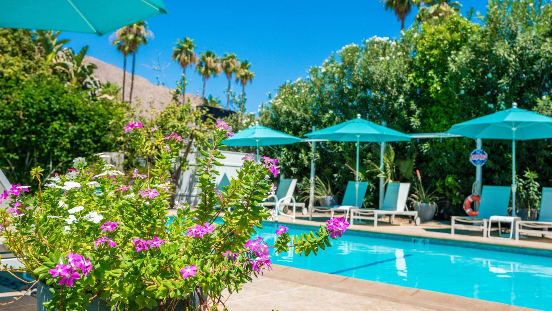 BelleVue Oasis - Adults Only photo 3
