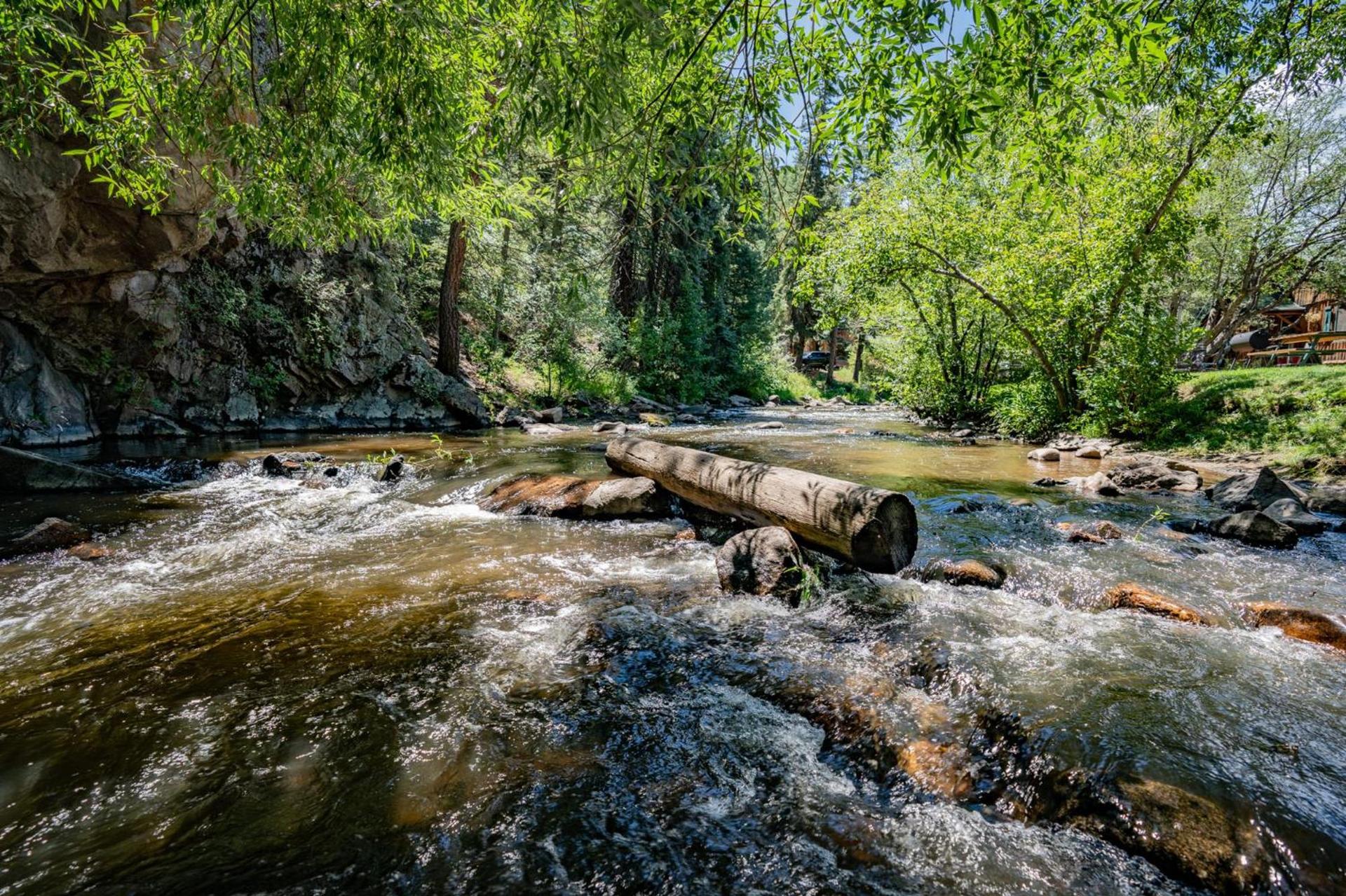 Colorado Bear Creek Cabins photo 34