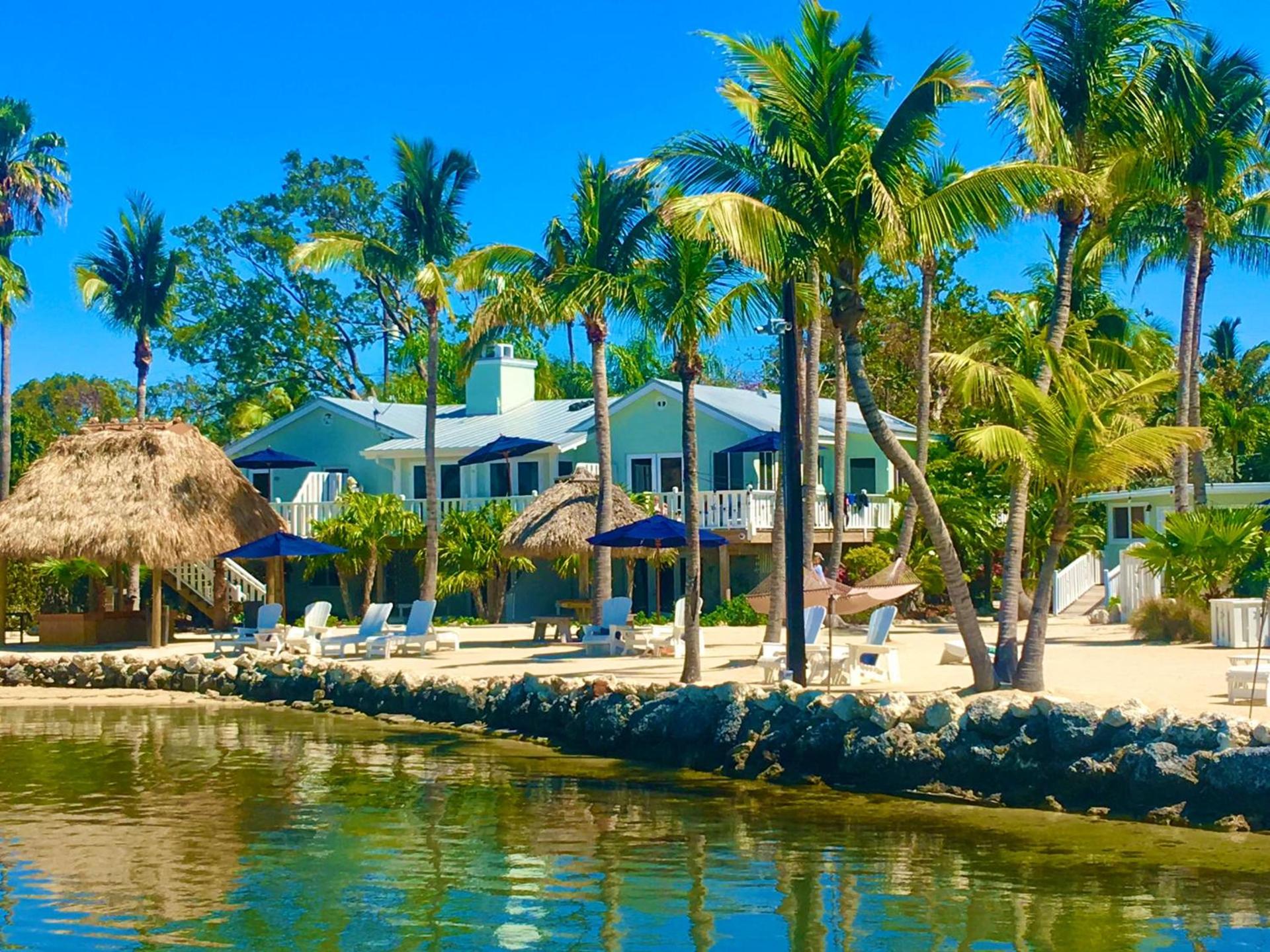 Coconut Palm Inn photo 1