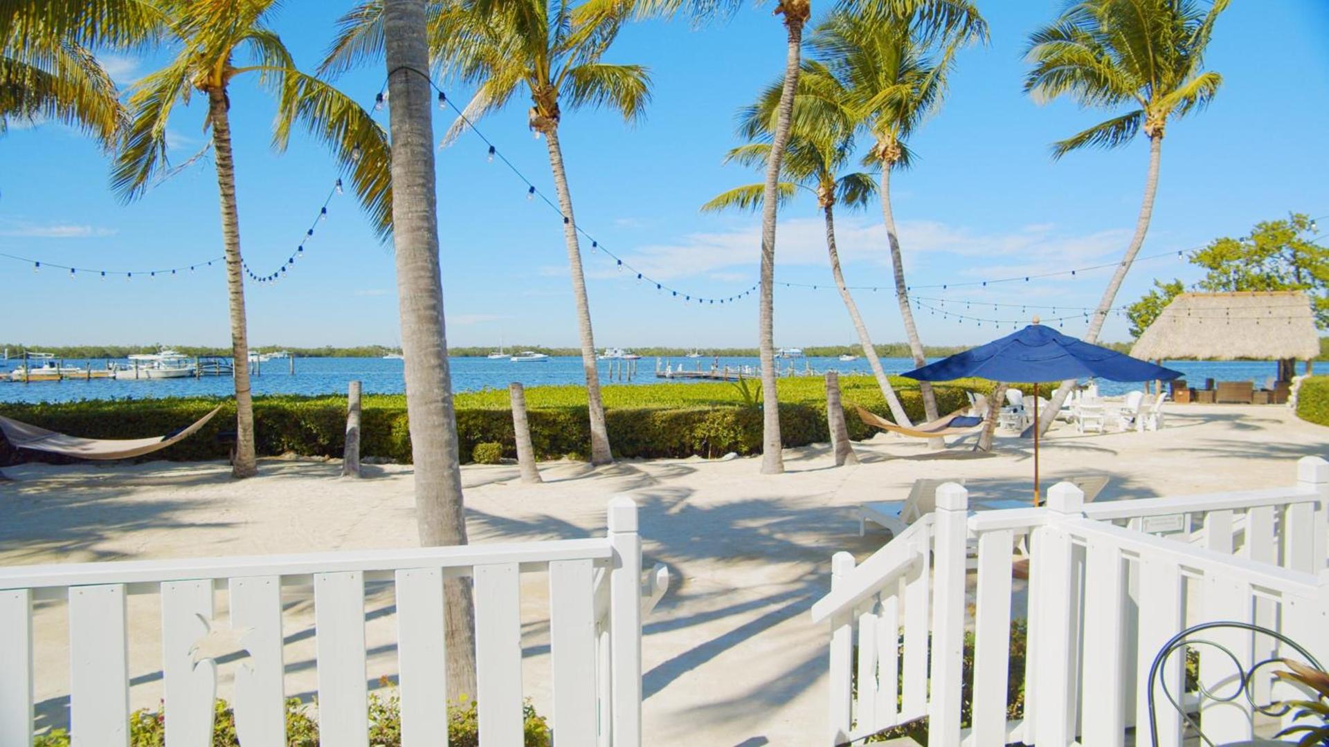 Coconut Palm Inn photo 7