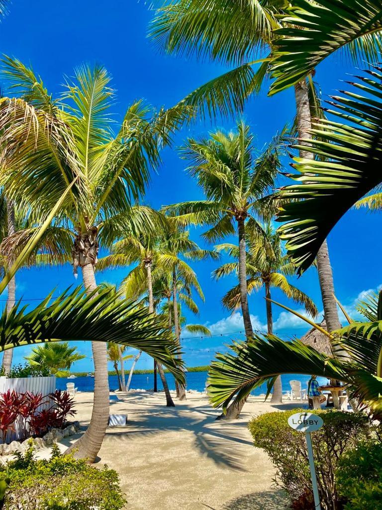 Coconut Palm Inn photo 2