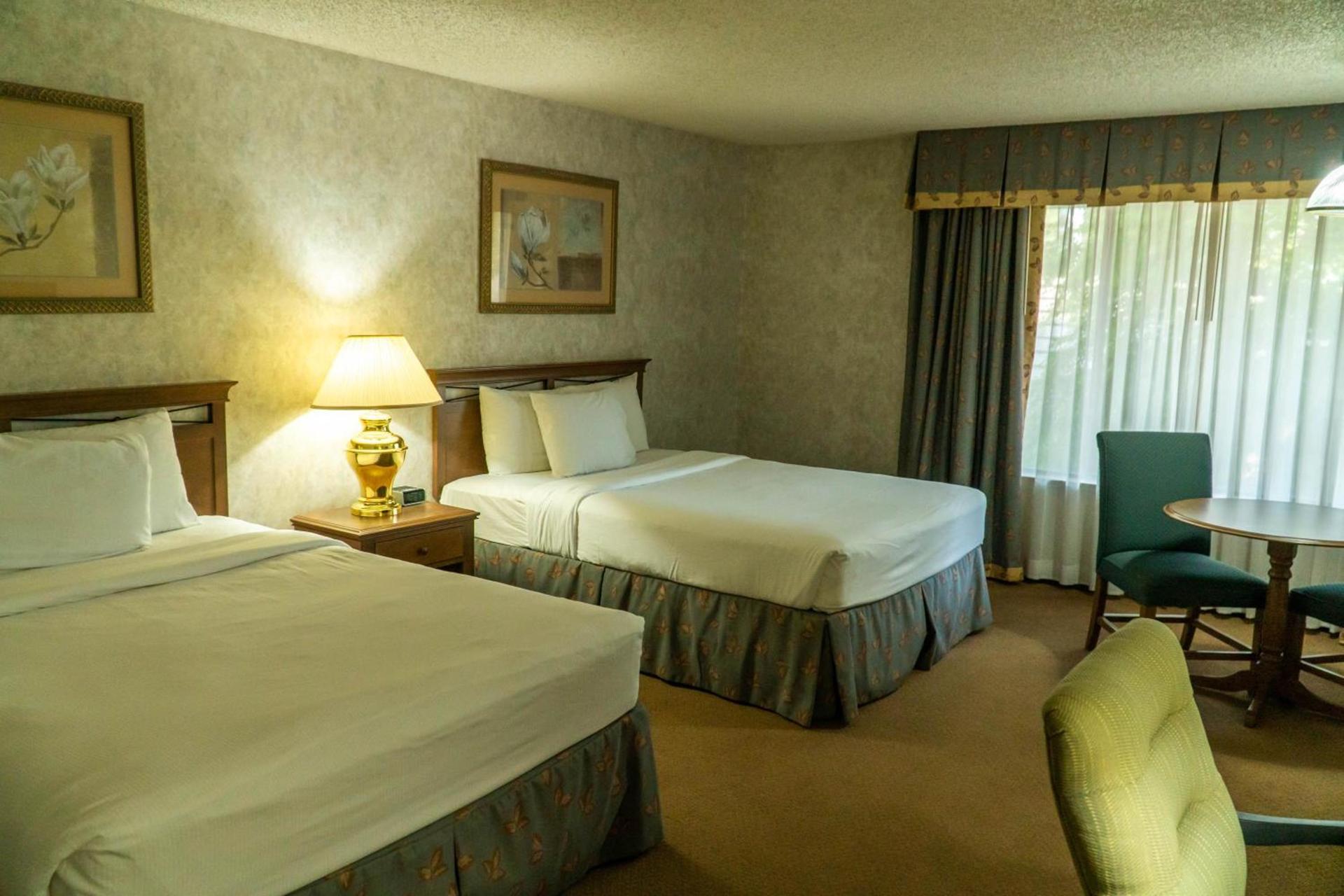 Hotel Piccadilly photo 42