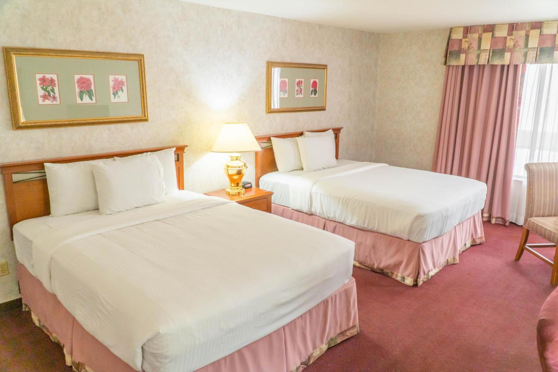Hotel Piccadilly photo 36