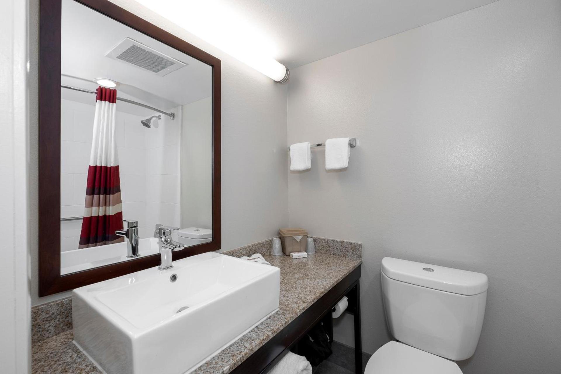 Red Roof Inn PLUS+ Tuscaloosa - University photo 7