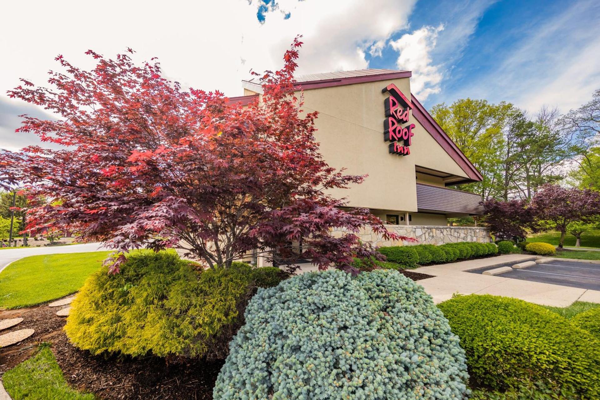 Red Roof Inn Cincinnati Northeast - Blue Ash photo 1