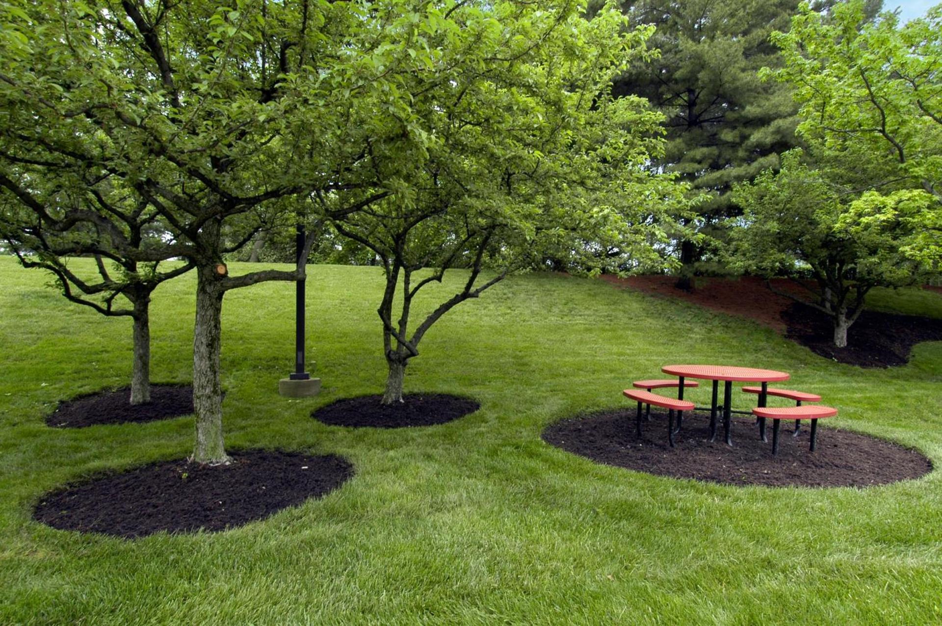 Red Roof Inn Cincinnati Northeast - Blue Ash photo 4