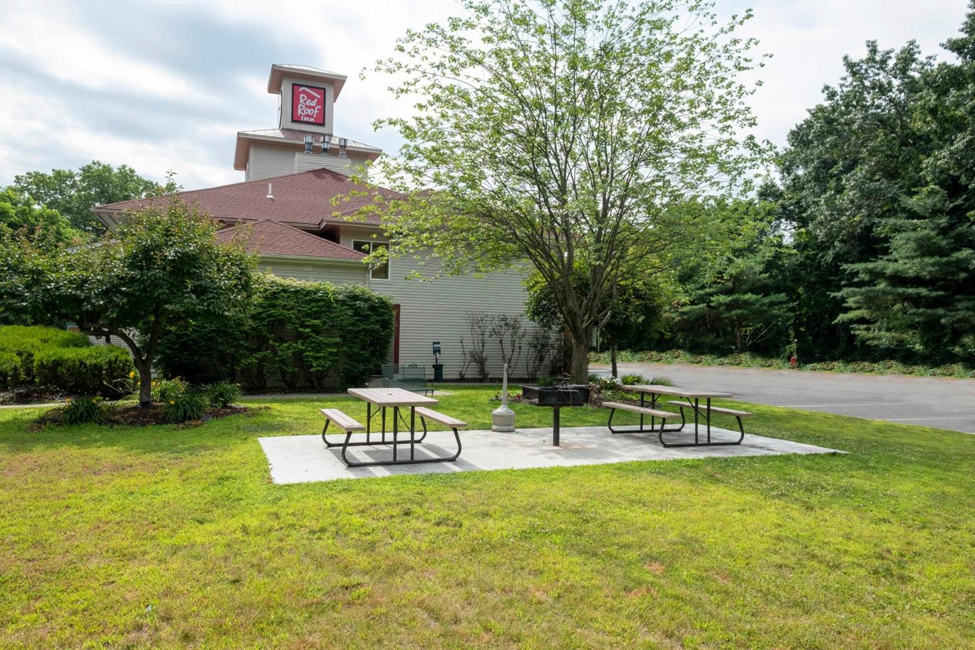 Red Roof Inn Clifton Park photo 4