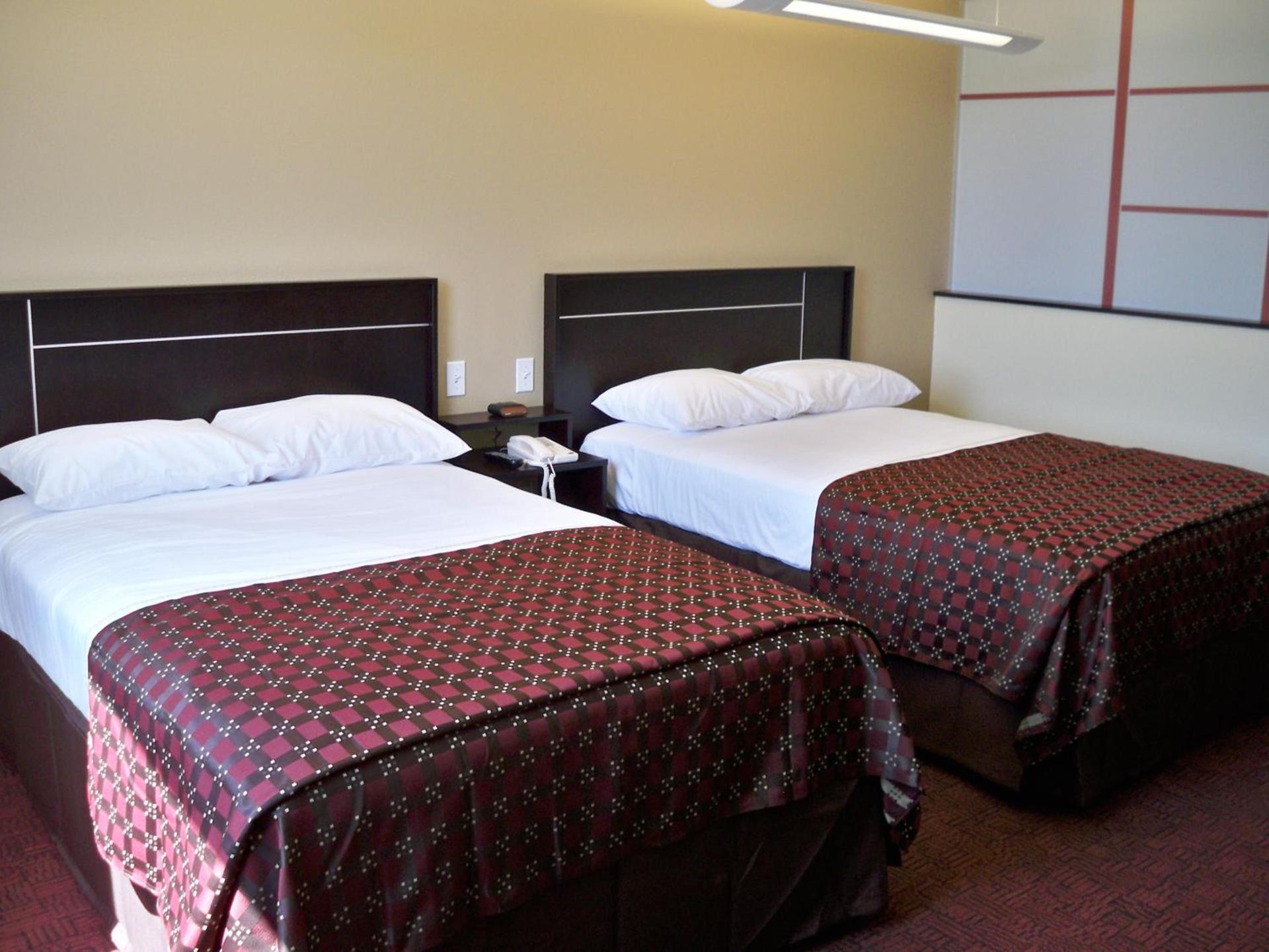 Red Roof Inn & Suites Beaumont photo 6