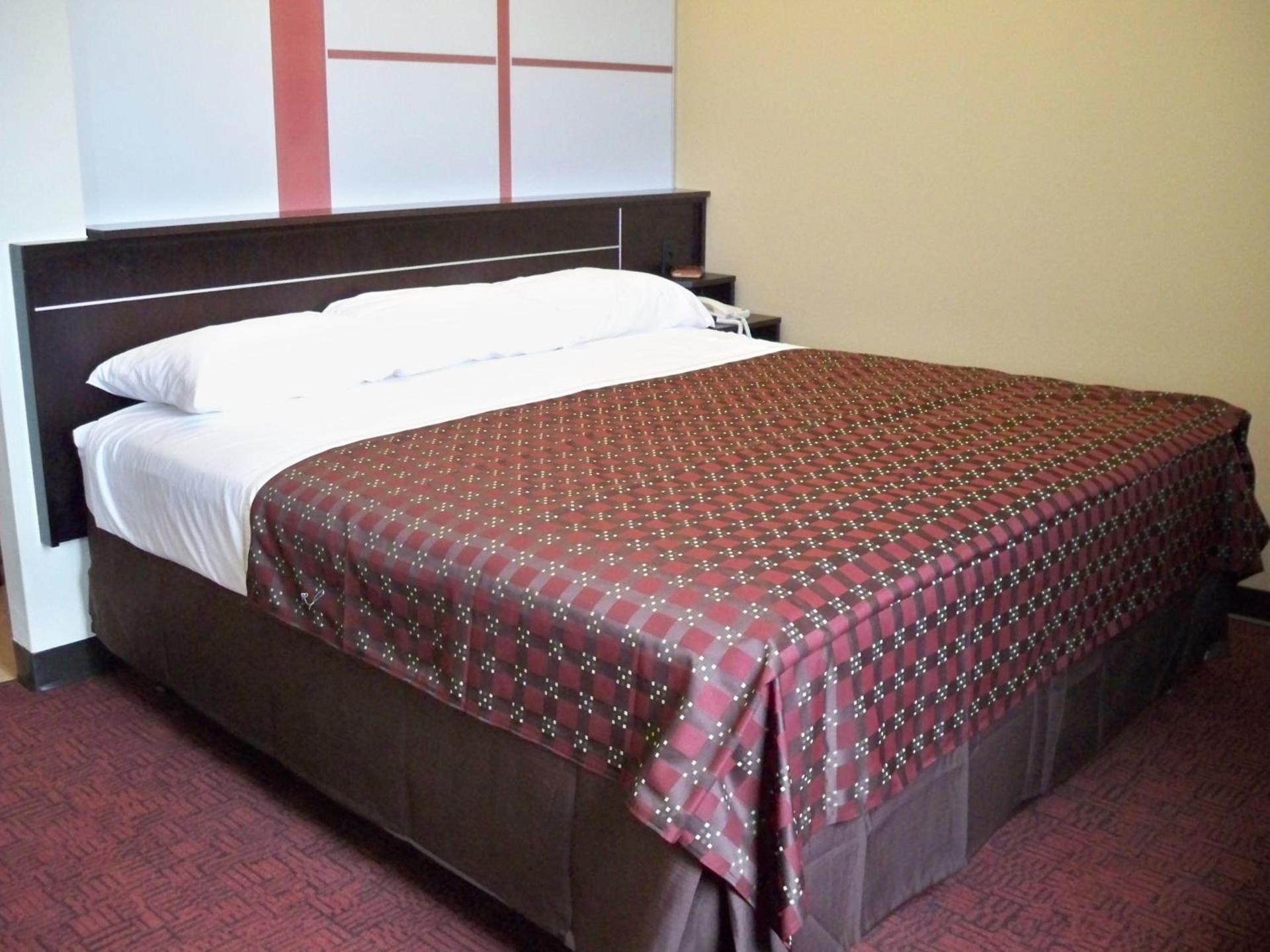 Red Roof Inn & Suites Beaumont photo 8
