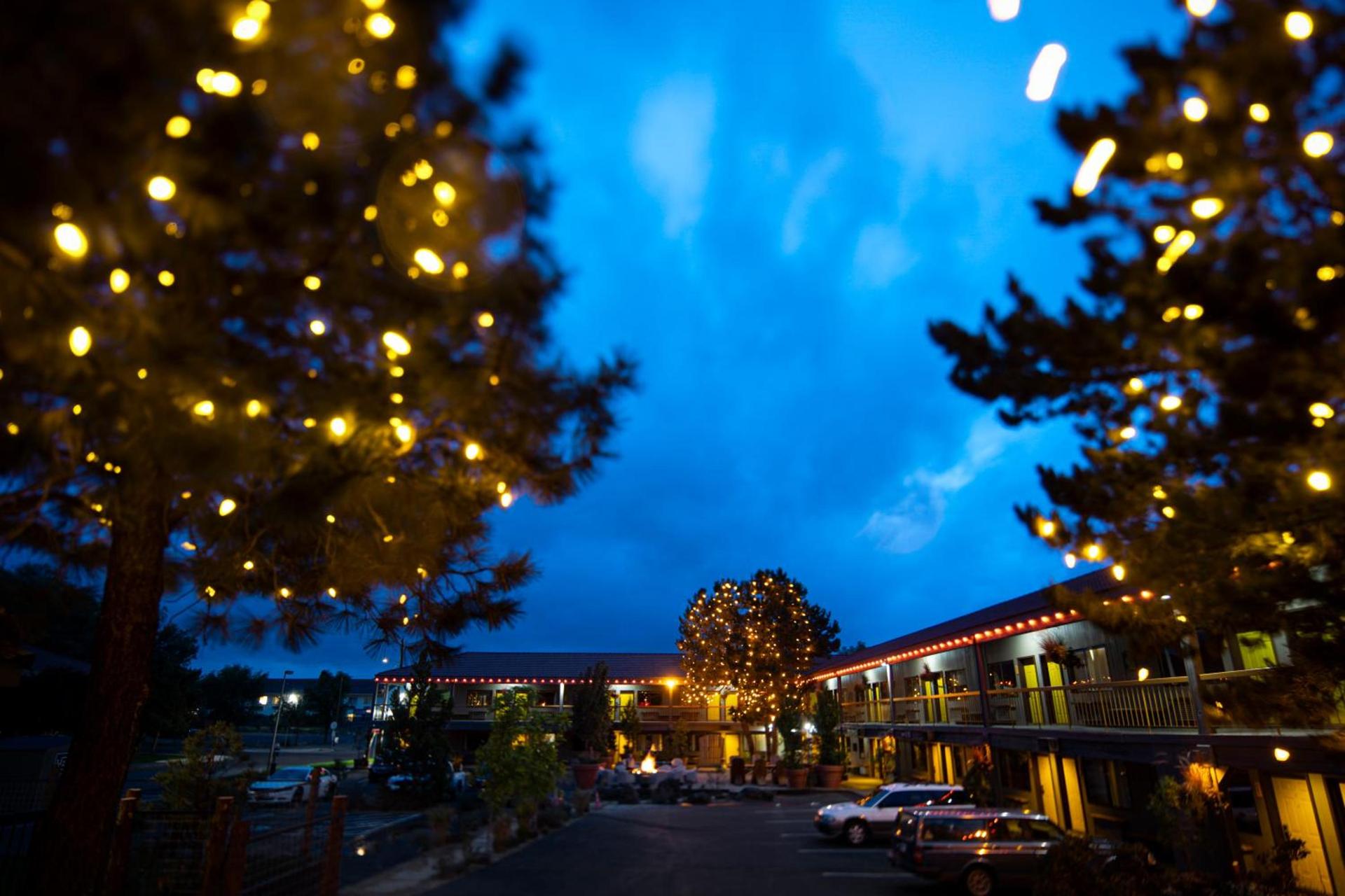 Campfire Hotel photo 21