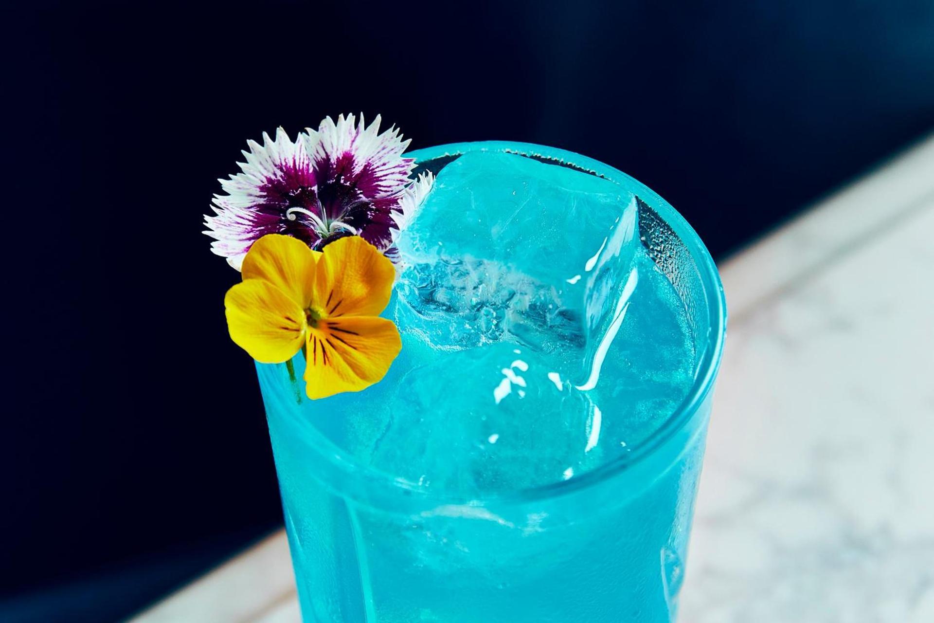 Kimpton Hotel Fontenot by IHG photo 67