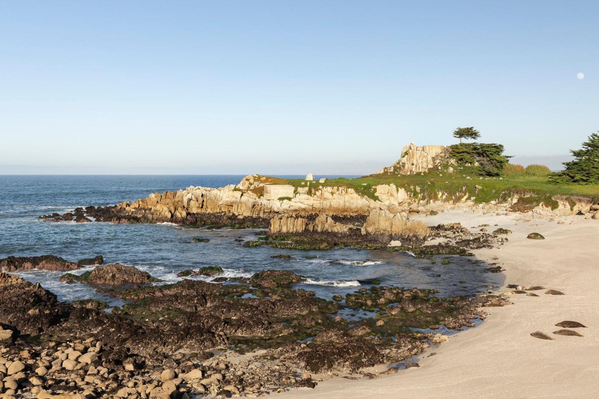 InterContinental The Clement Monterey by IHG photo 36