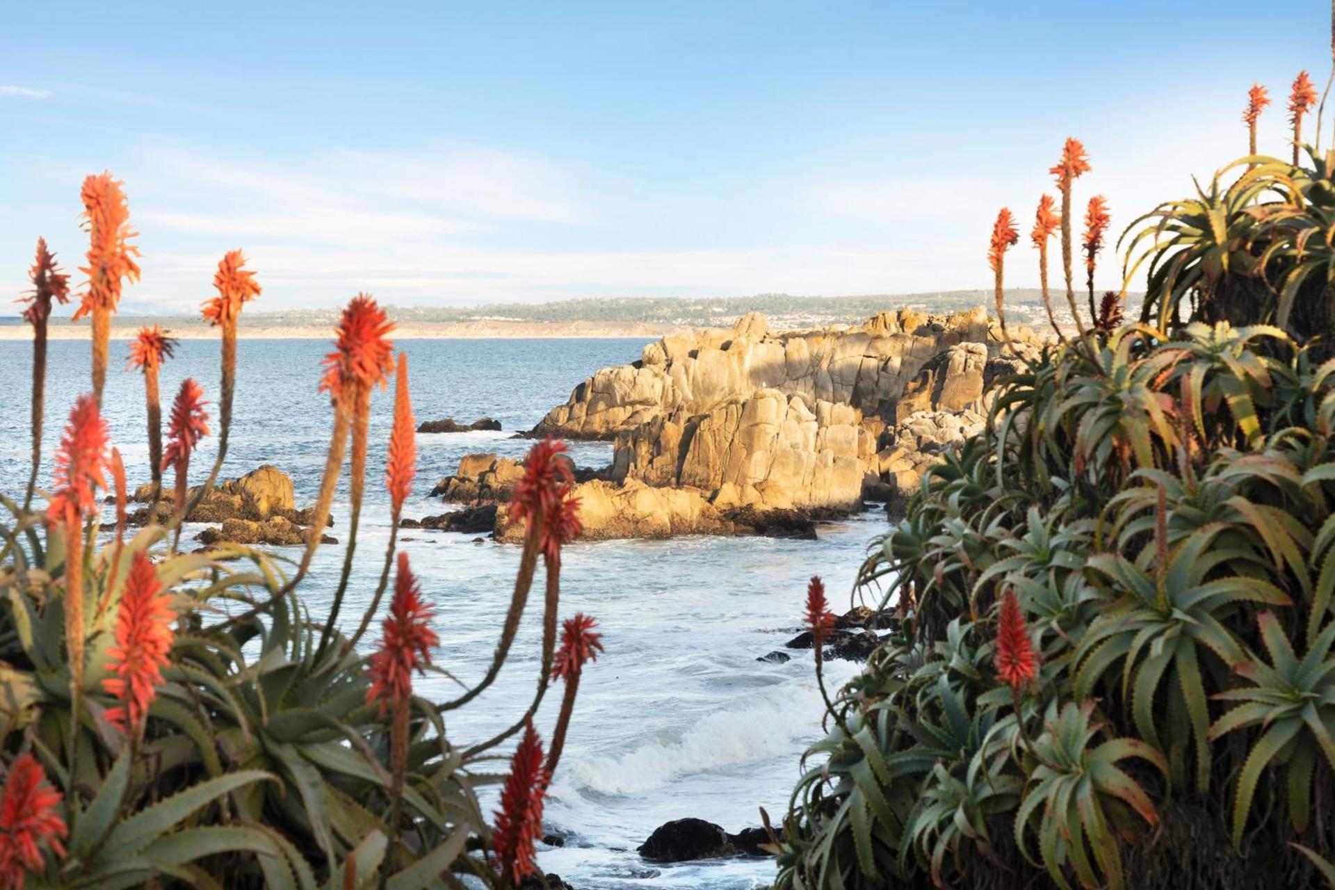 InterContinental The Clement Monterey by IHG photo 45