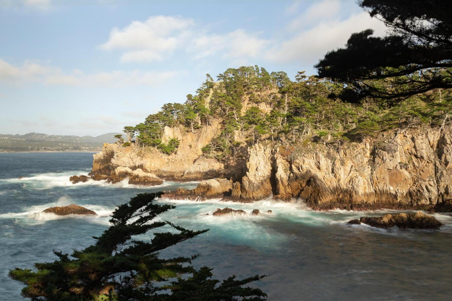 InterContinental The Clement Monterey by IHG photo 29