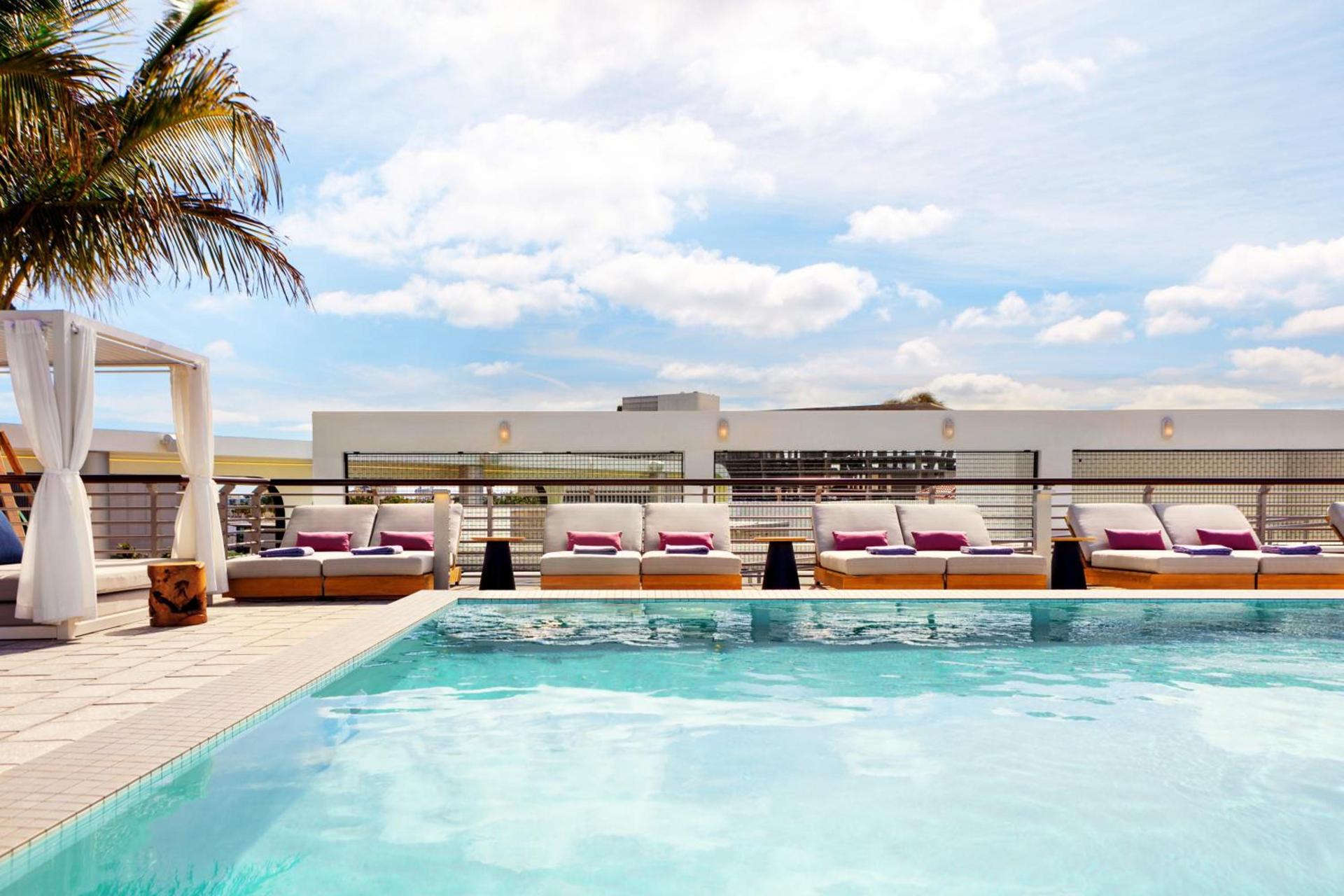 Kimpton - Hotel Palomar South Beach by IHG photo 14