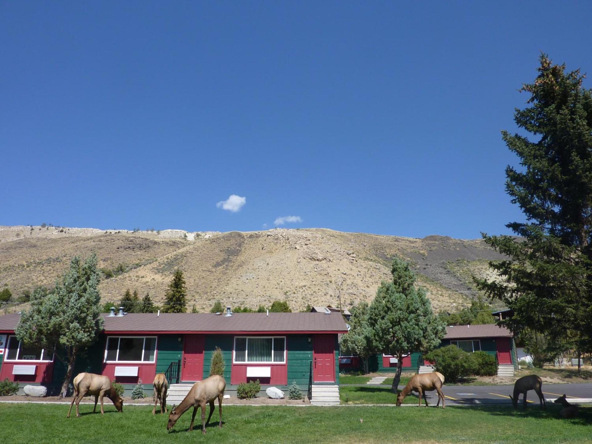 Yellowstone Gateway Inn photo 74