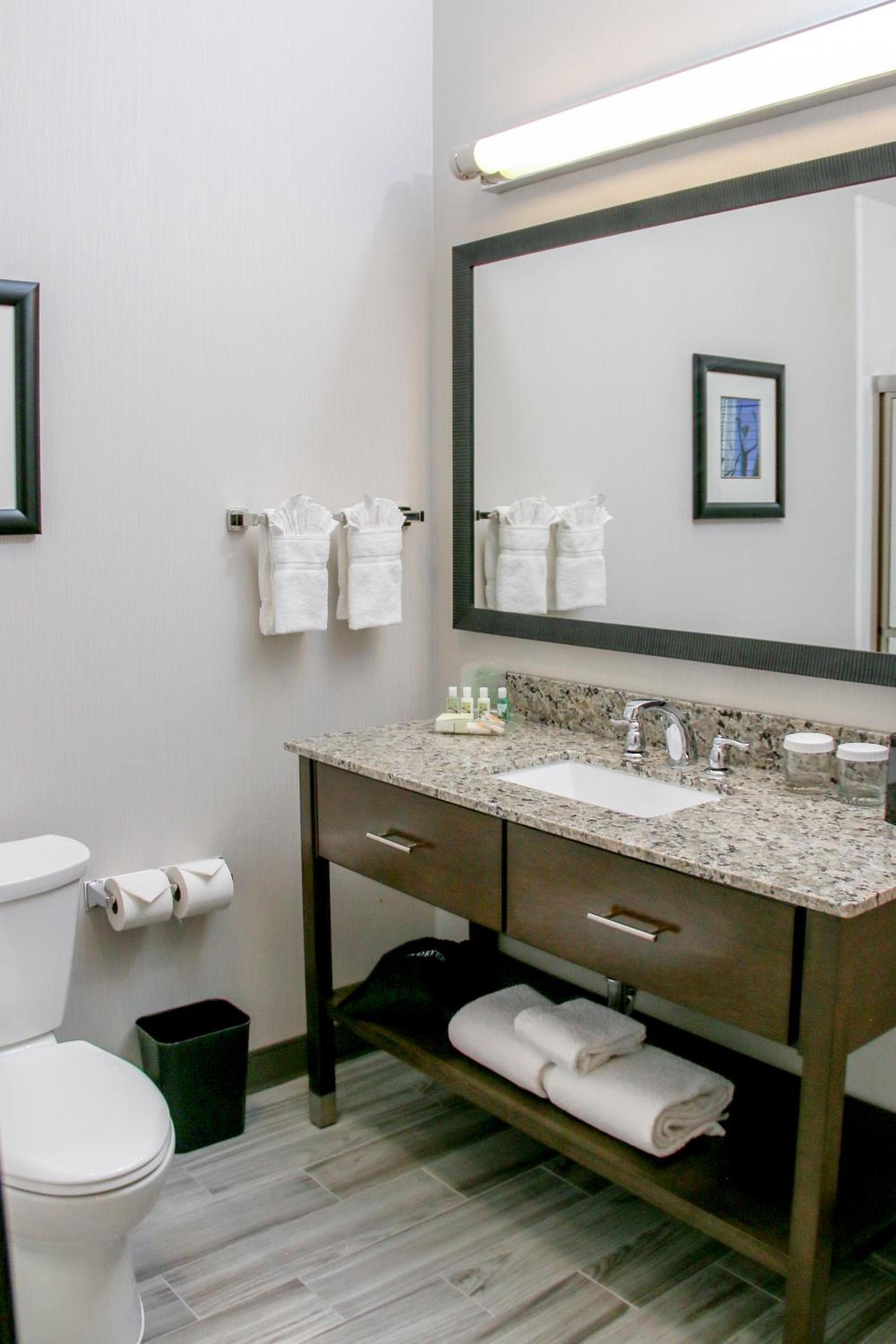 Holiday Inn & Suites Denver Tech Center-Centennial by IHG photo 5