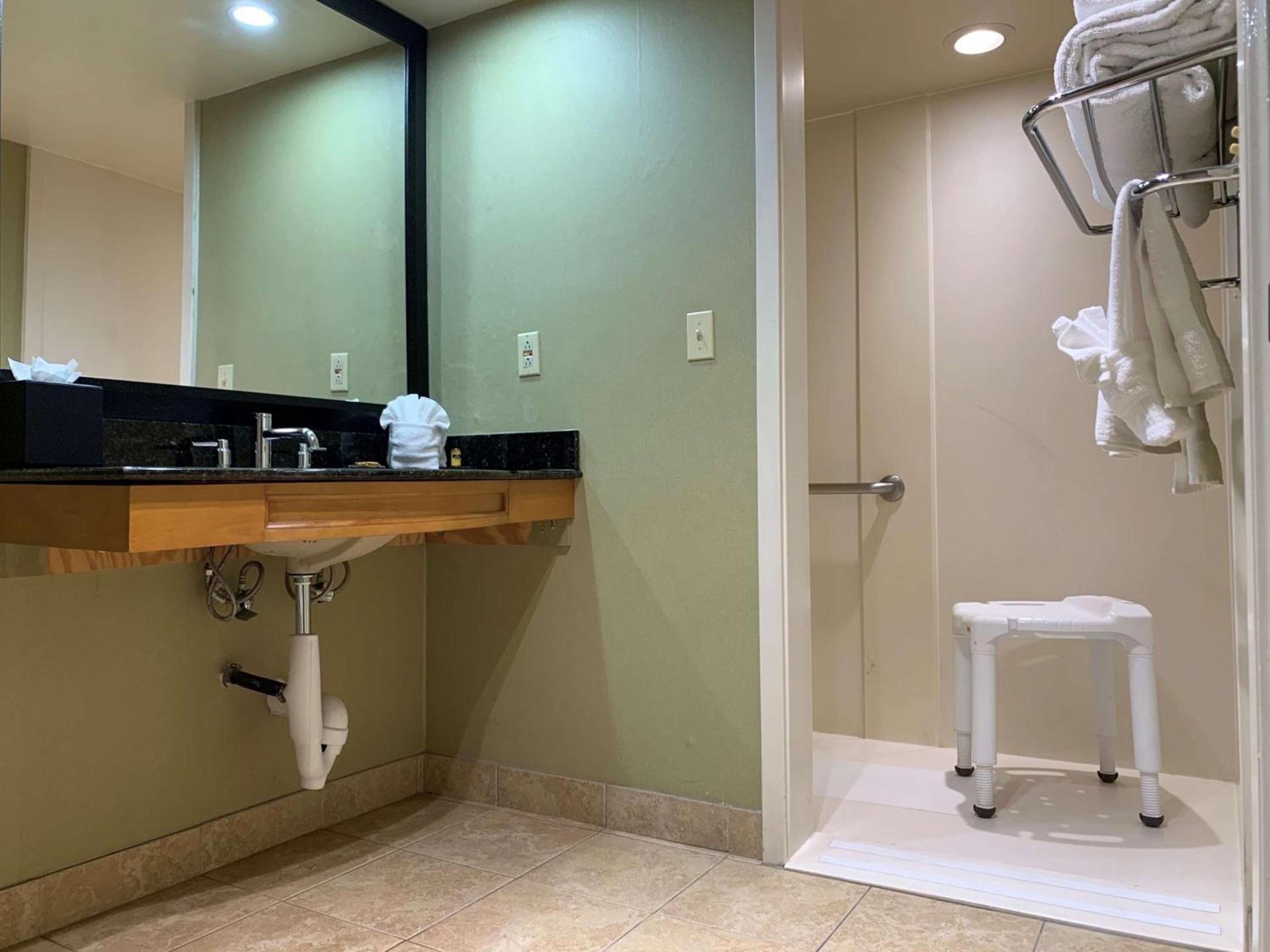 Best Western Plus Las Brisas Hotel photo 29