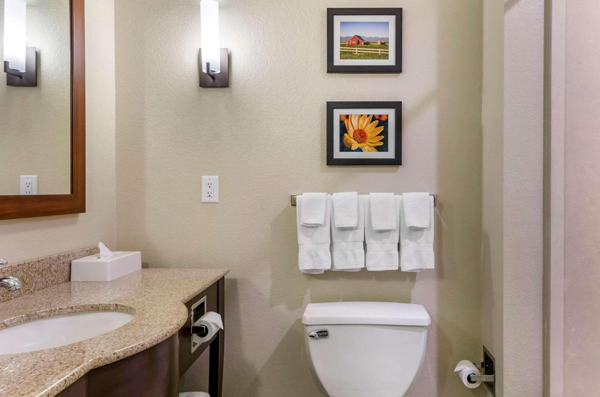 Comfort Suites Helena Airport photo 7