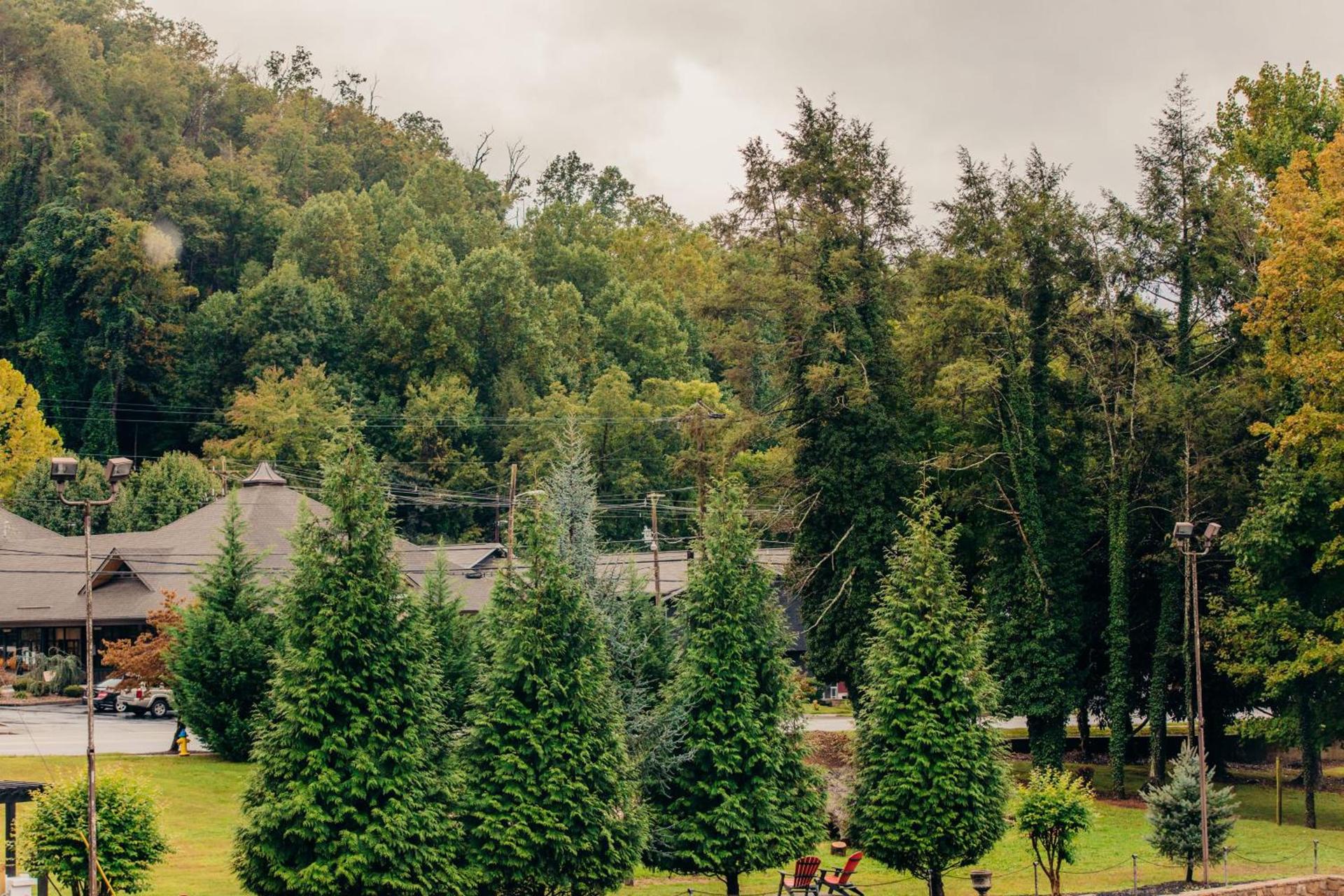 Brookside Lodge - Gatlinburg - On the River photo 1