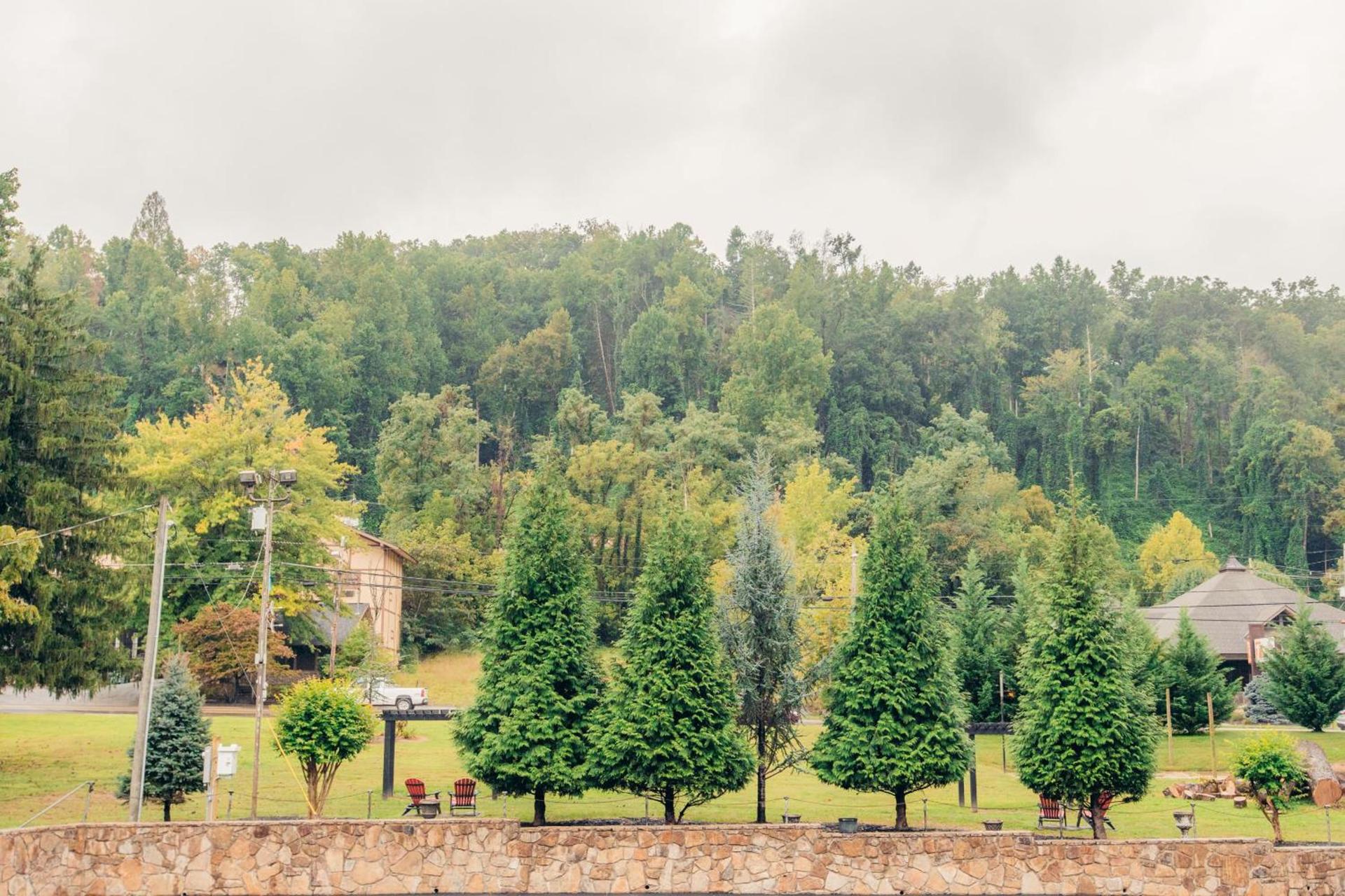Brookside Lodge - Gatlinburg - On the River photo 9