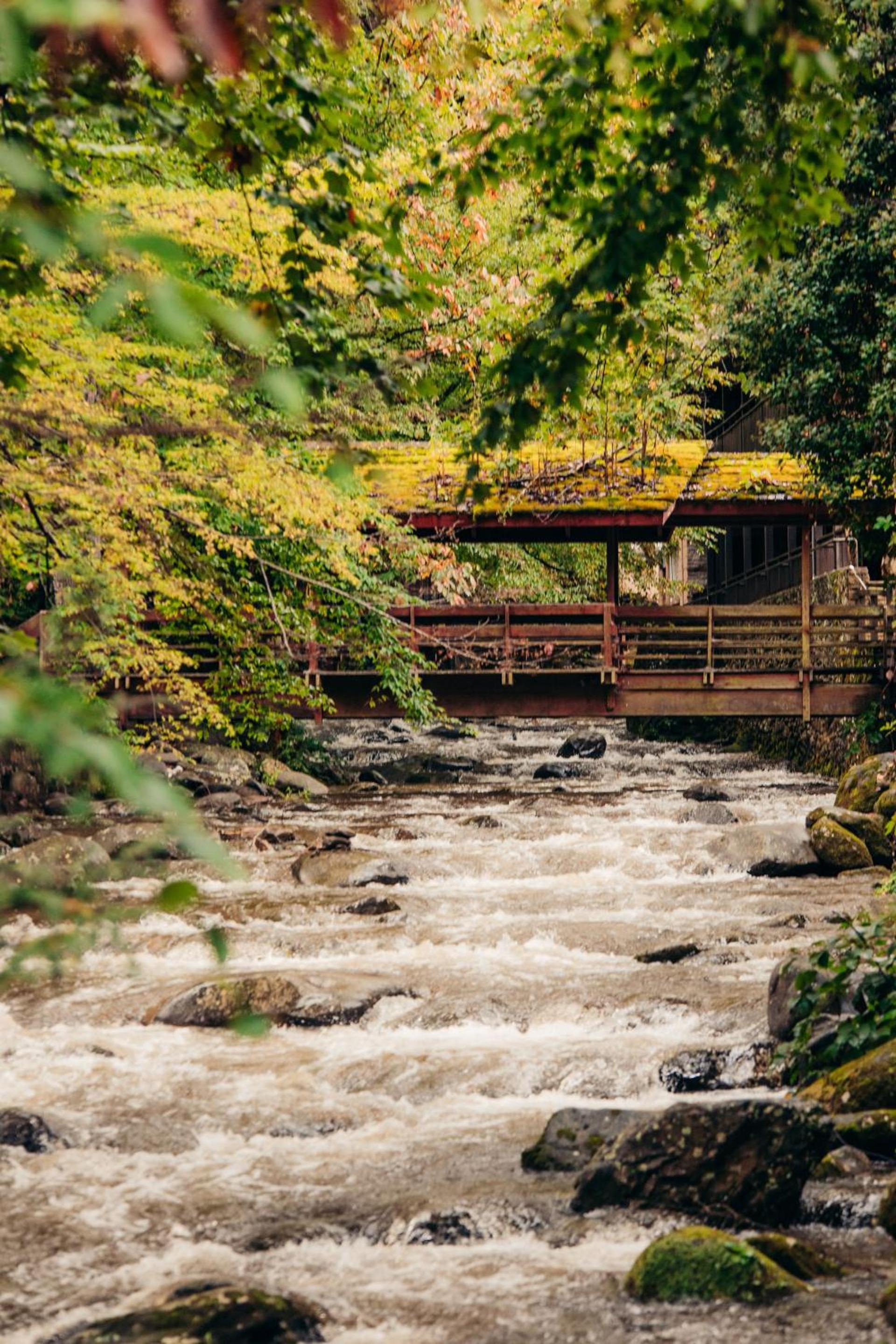 Brookside Lodge - Gatlinburg - On the River photo 10