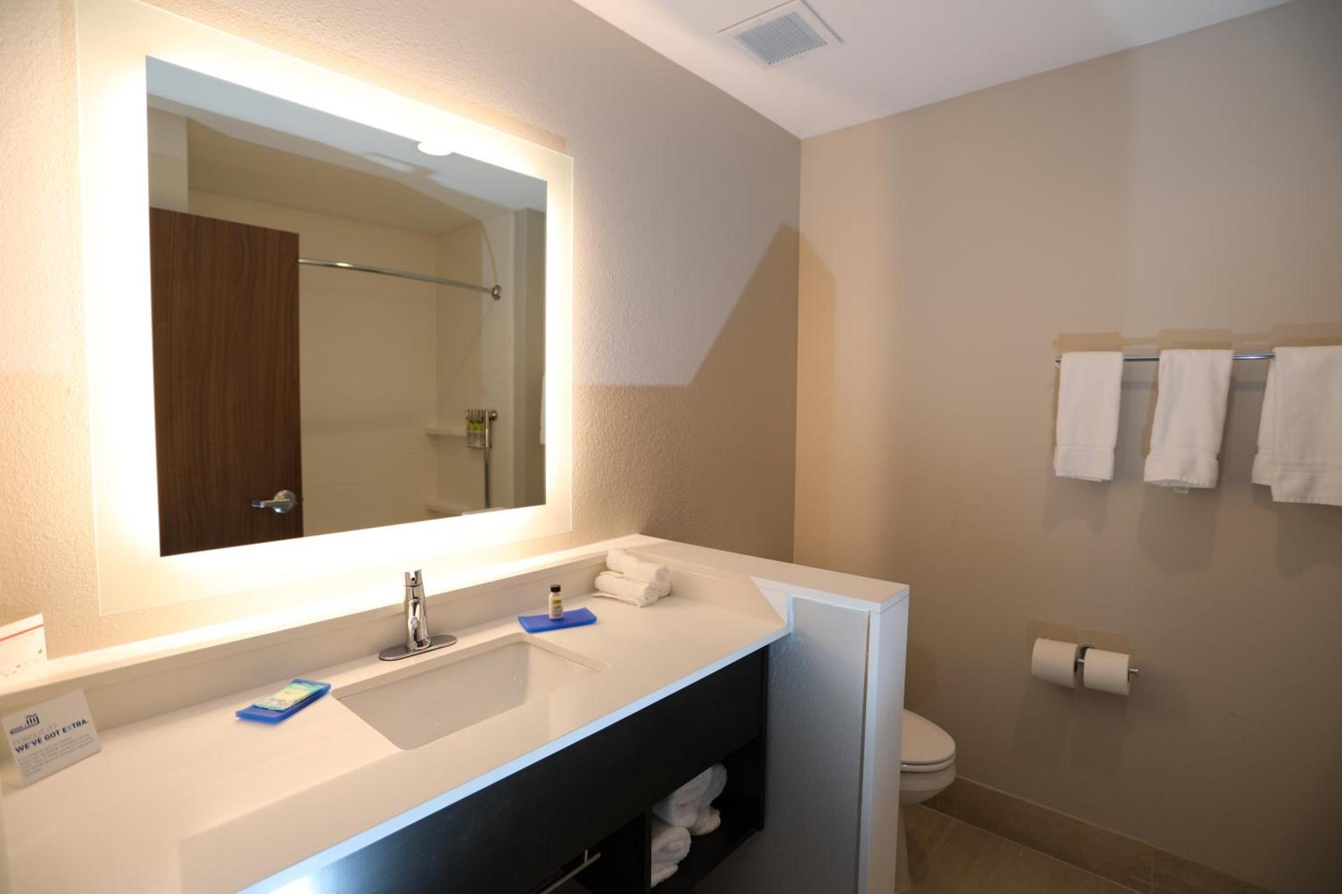 Holiday Inn Express & Suites - Forney by IHG photo 16