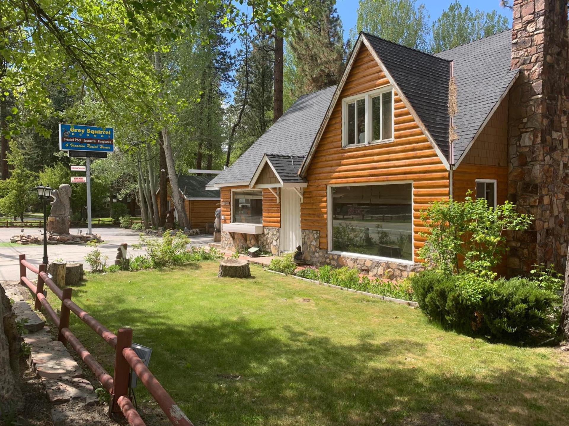 Grey Squirrel Resort photo 1