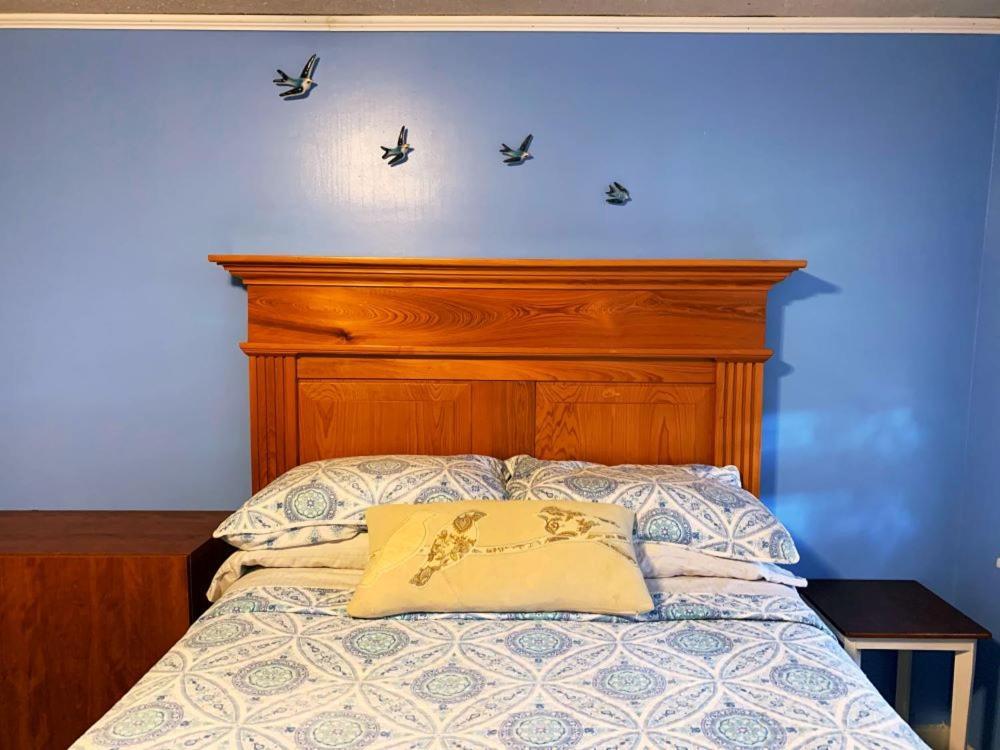 Blue Moon Guest House photo 39