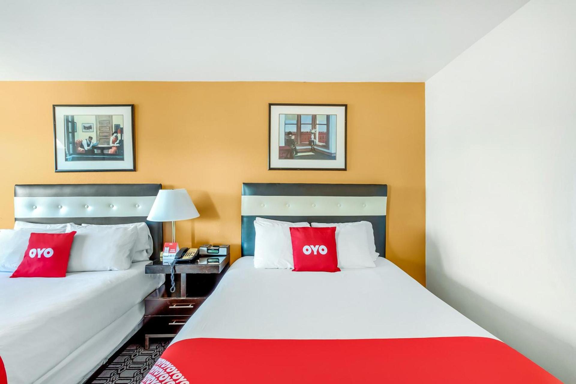 Arlington Motor Inn photo 68