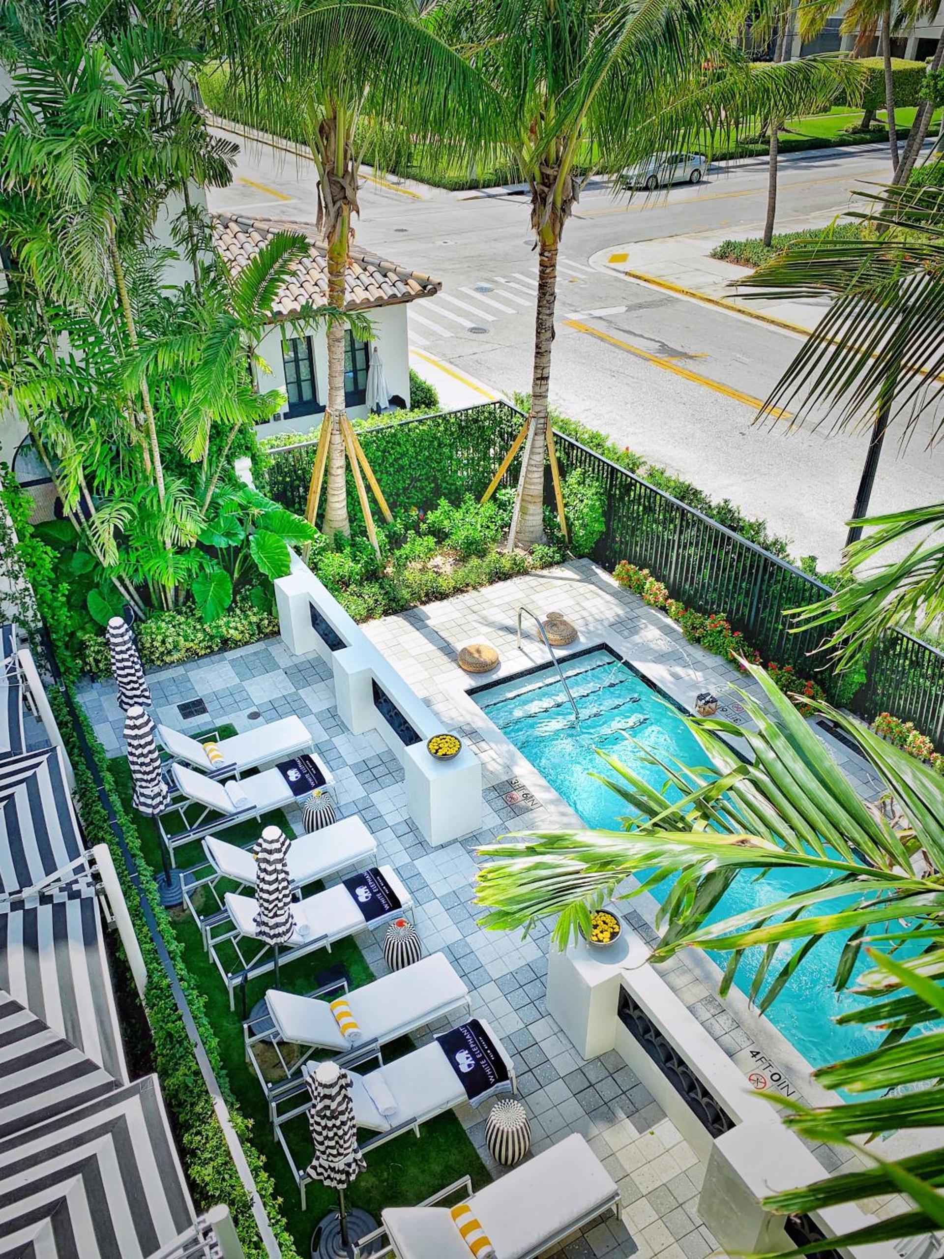 White Elephant Palm Beach photo 6