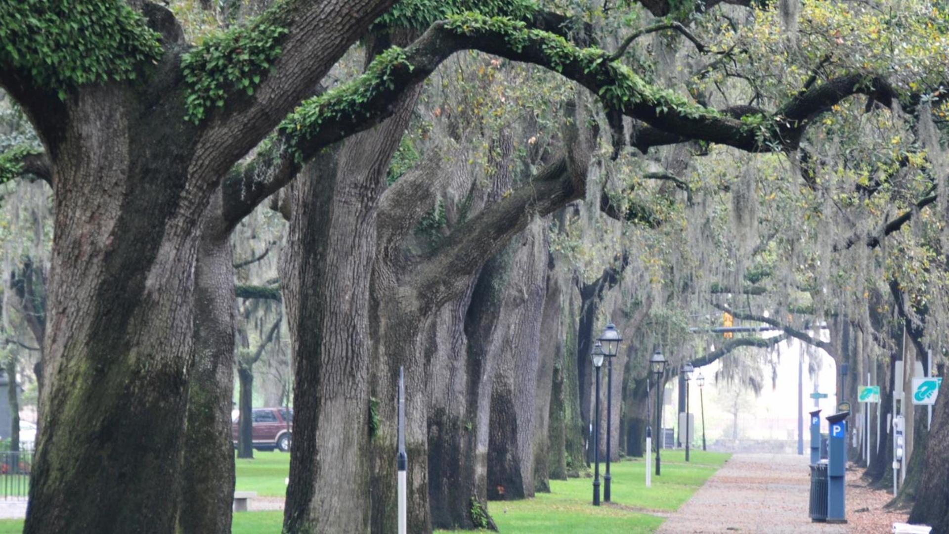 Hotel Indigo Savannah Historic District by IHG photo 48