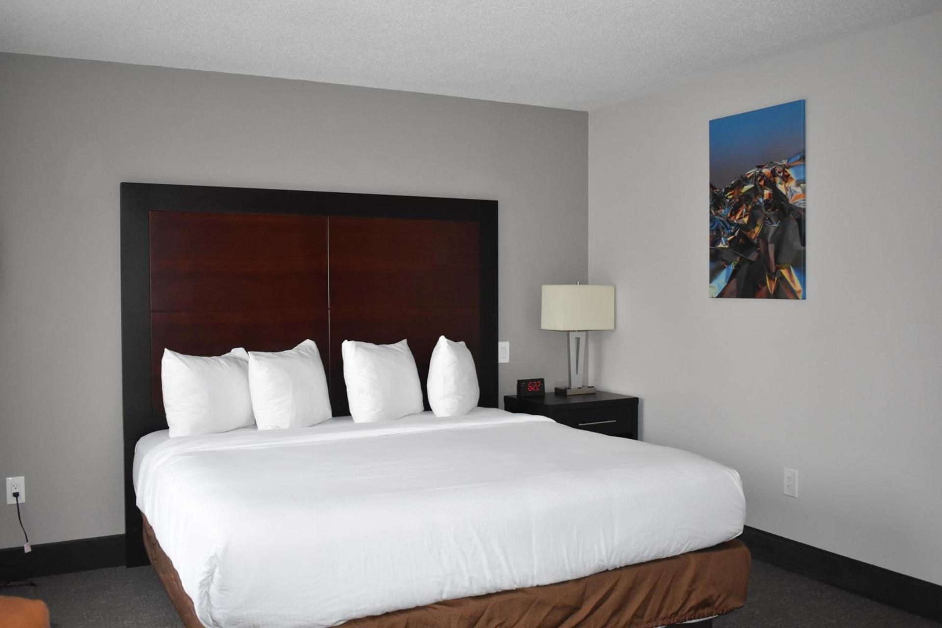 Wingate by Wyndham Atlanta Galleria/ Ballpark photo 55